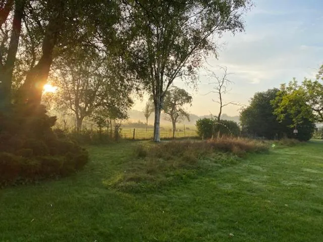 Spring in B&B Borgersteeg