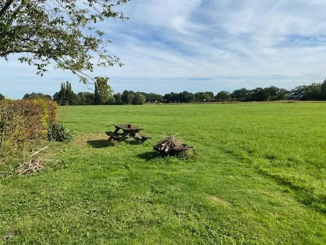 Spring in B&B Borgersteeg