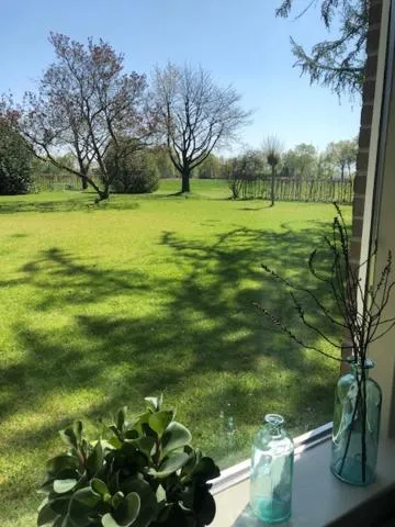 Garden view in B&B Borgersteeg