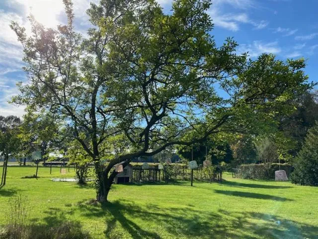 Spring in B&B Borgersteeg