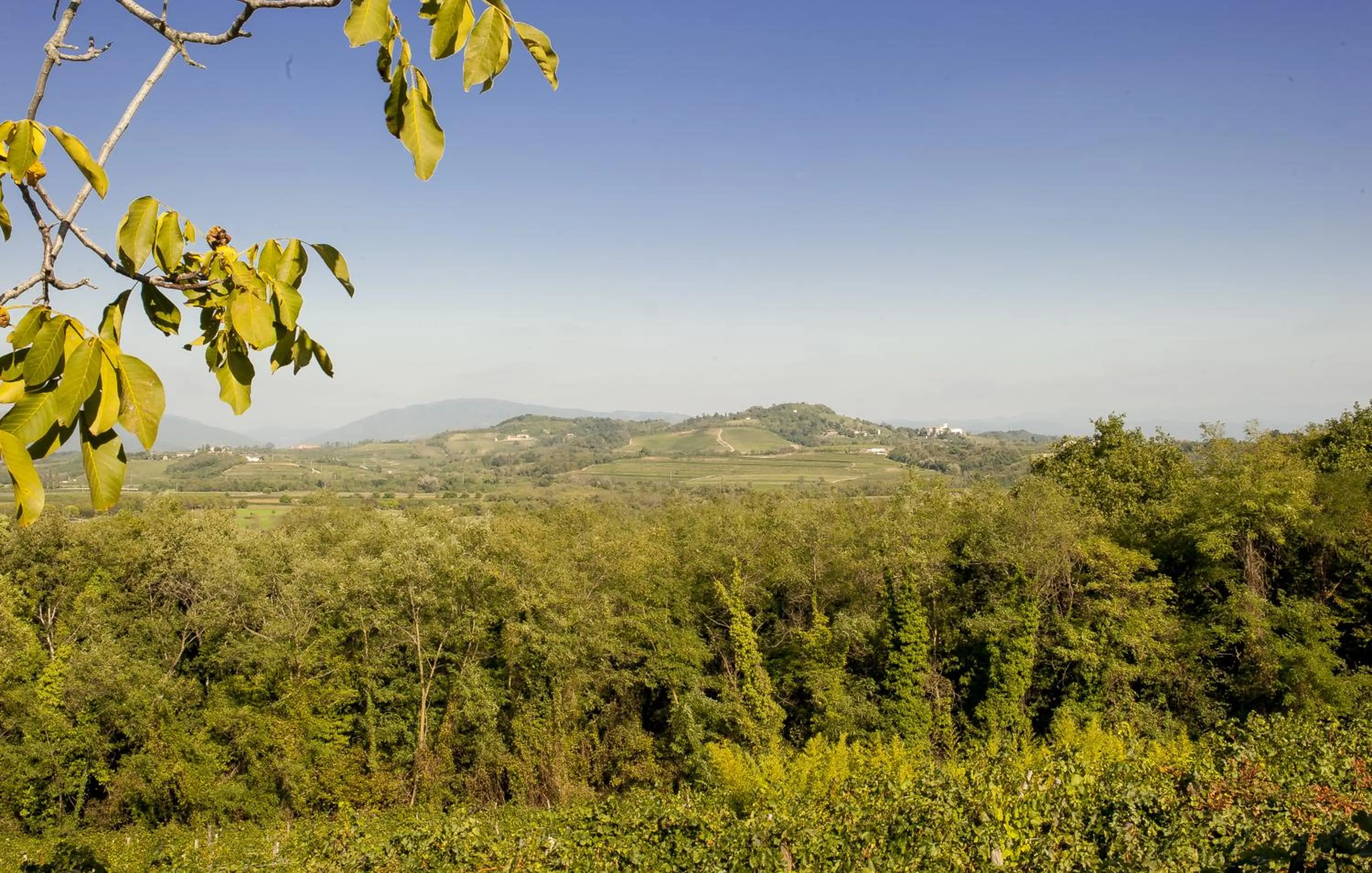 View (from property/room) in Elliot Osteria e dormire in collina