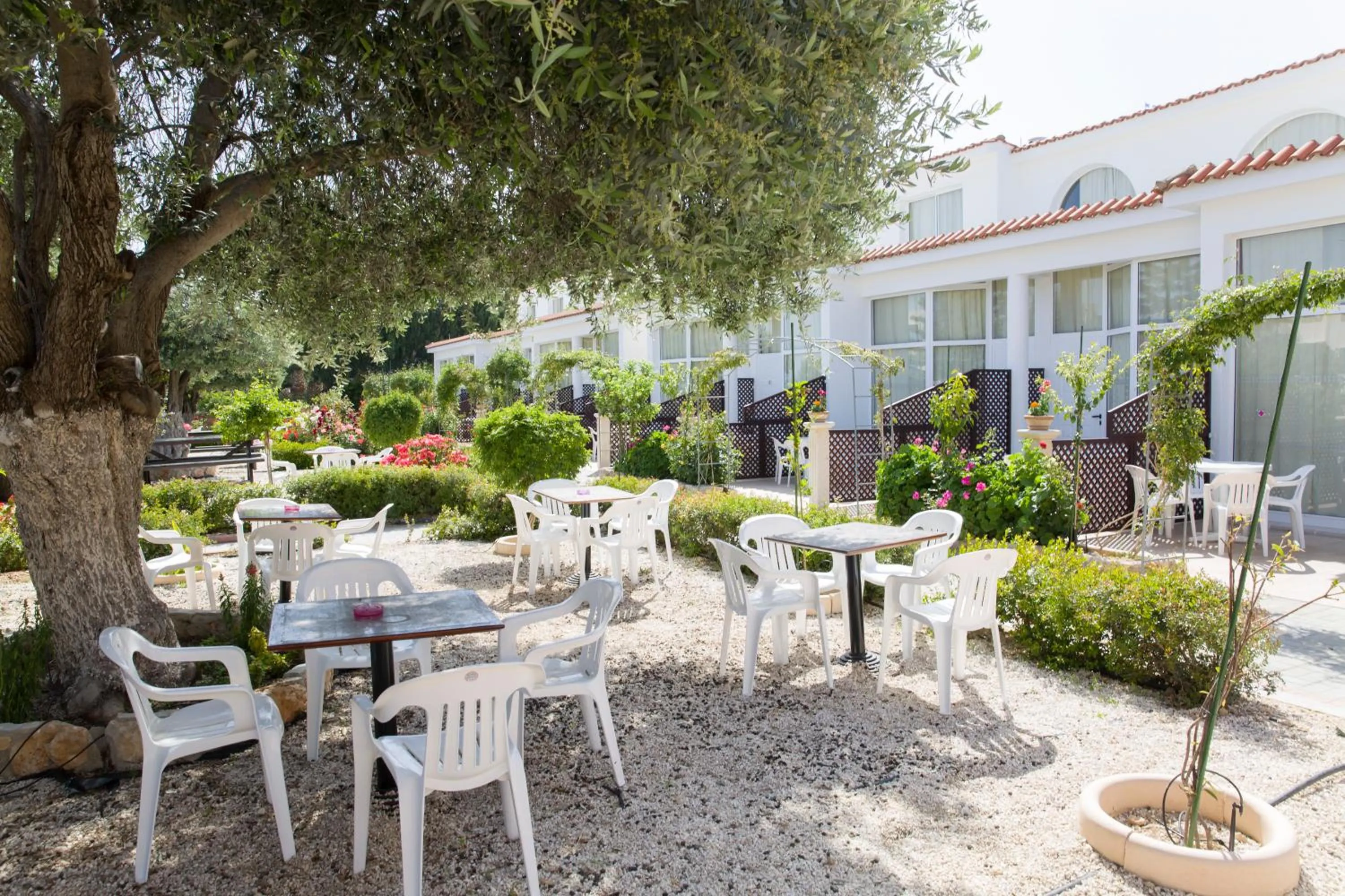 BBQ facilities in Eliofos Elegant Maisonettes