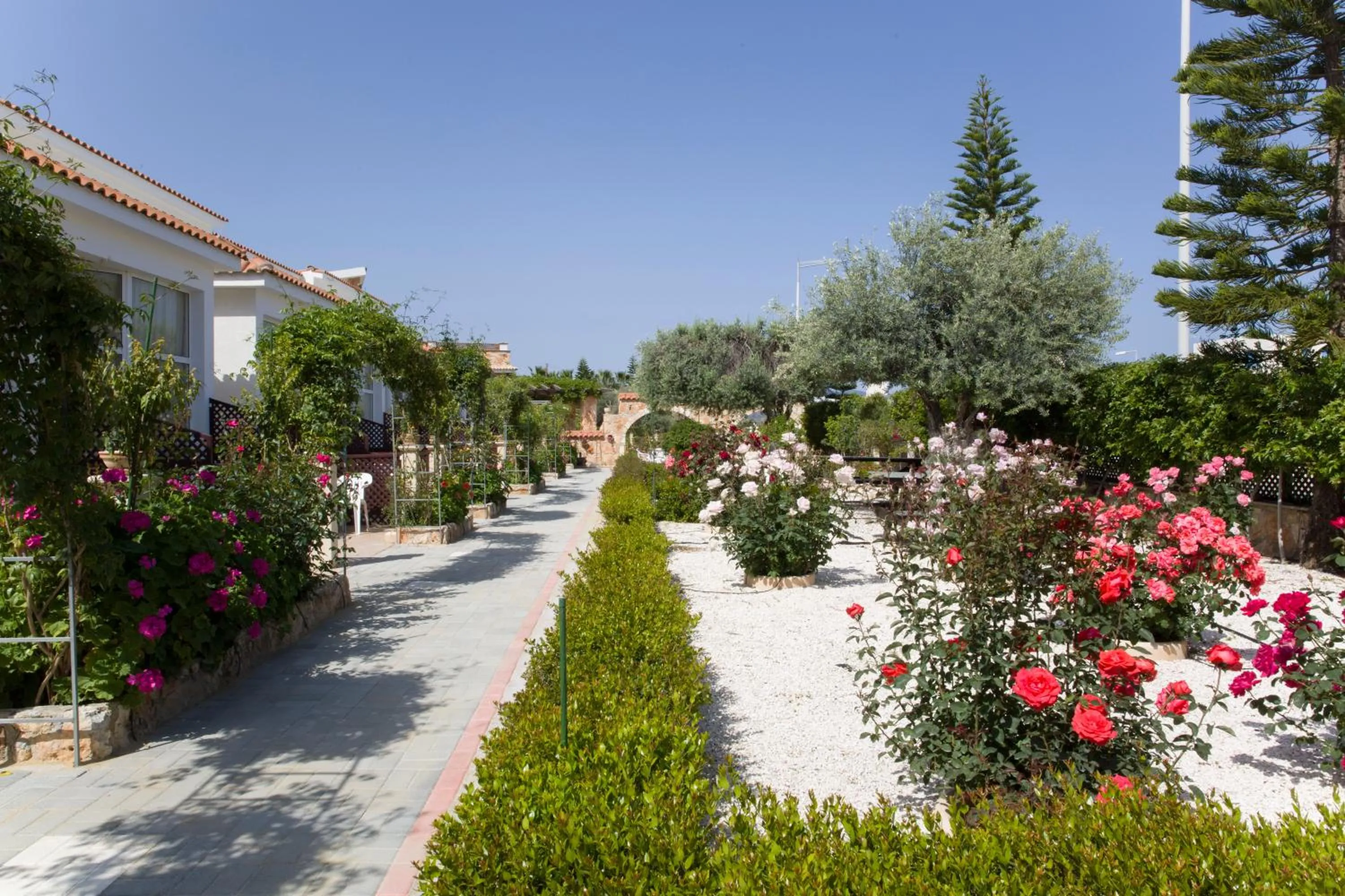 BBQ facilities in Eliofos Elegant Maisonettes