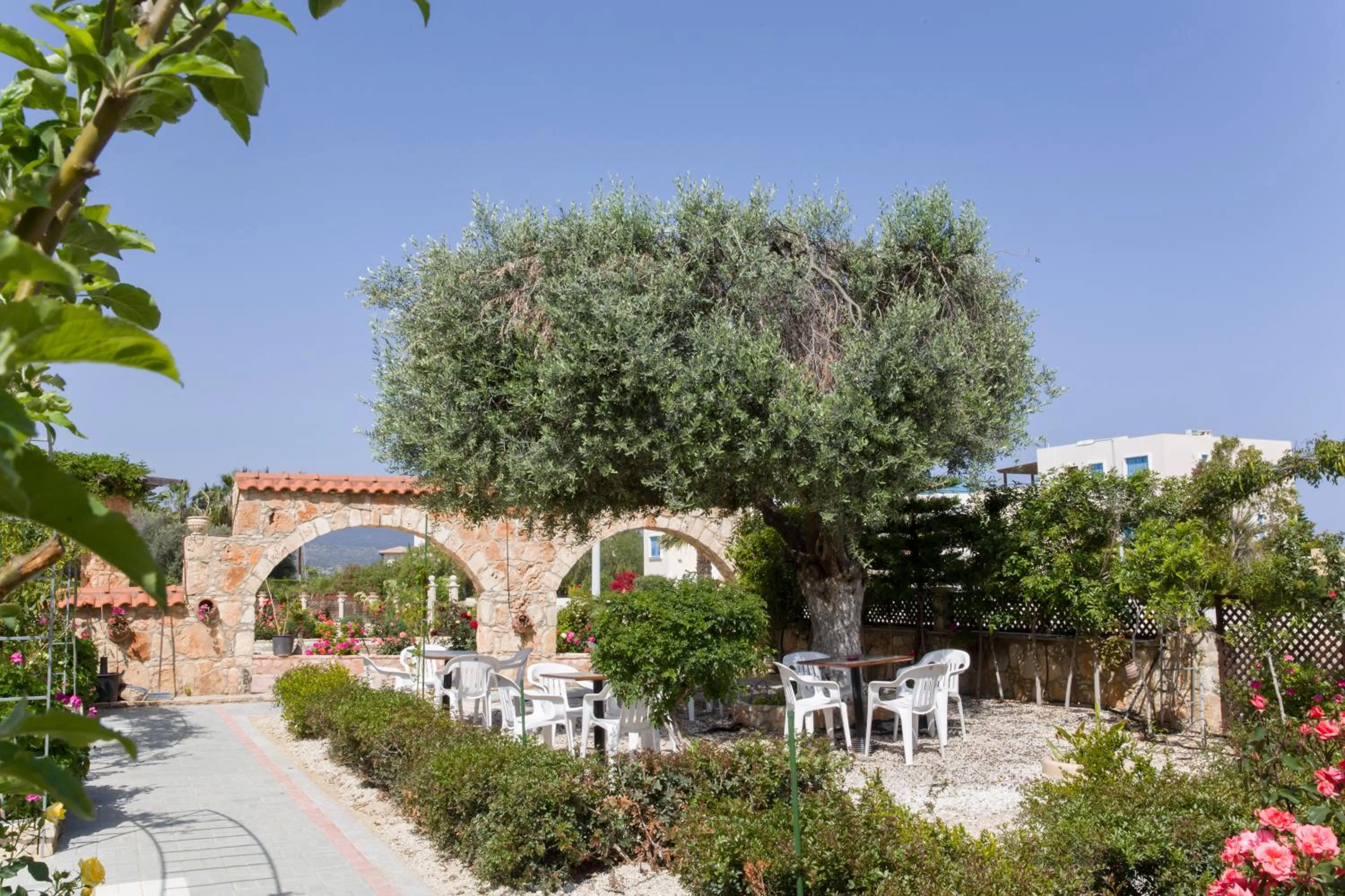 BBQ facilities in Eliofos Elegant Maisonettes