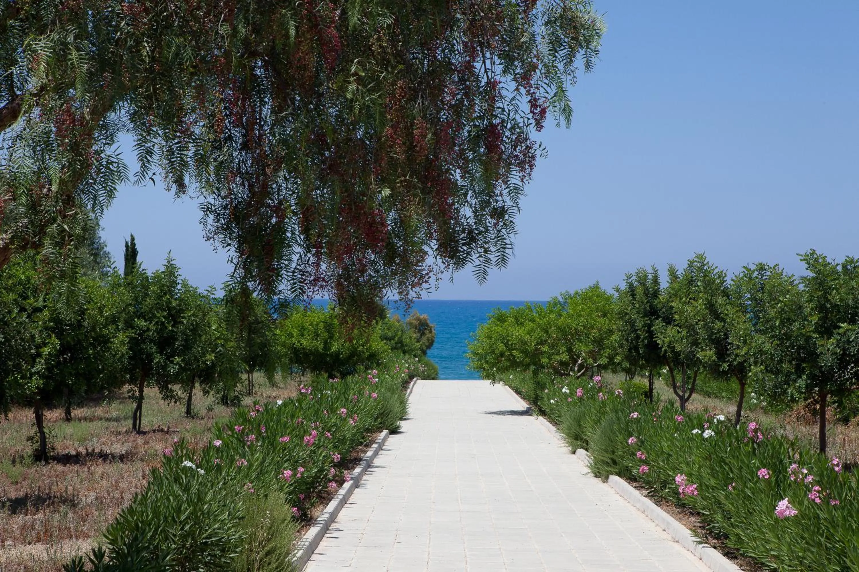 Nearby landmark in Eliofos Elegant Maisonettes