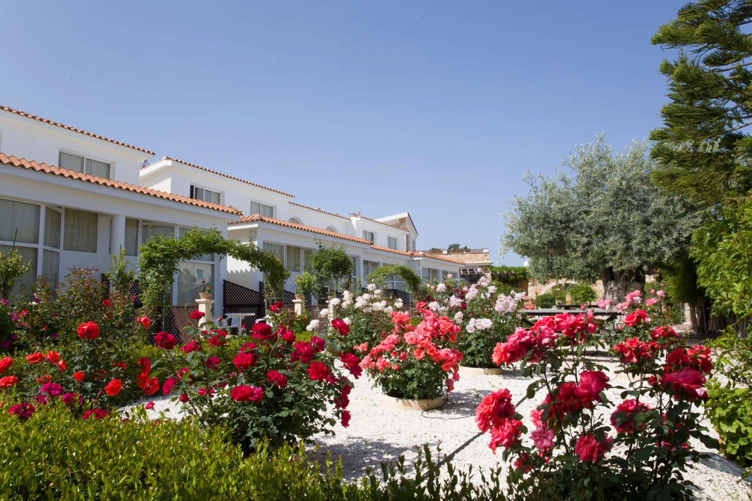 BBQ facilities in Eliofos Elegant Maisonettes