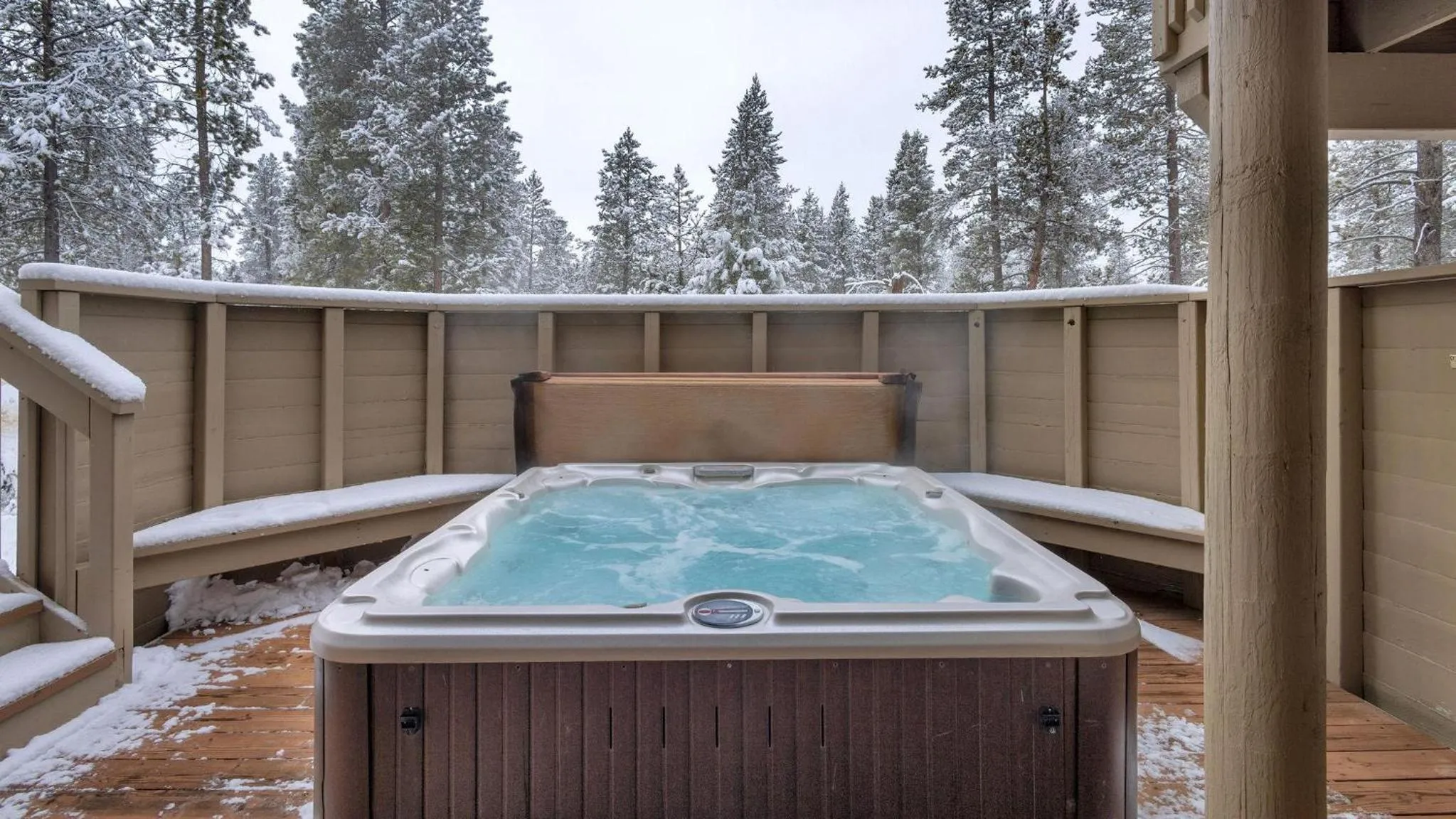 Vine Maple - Unit 30