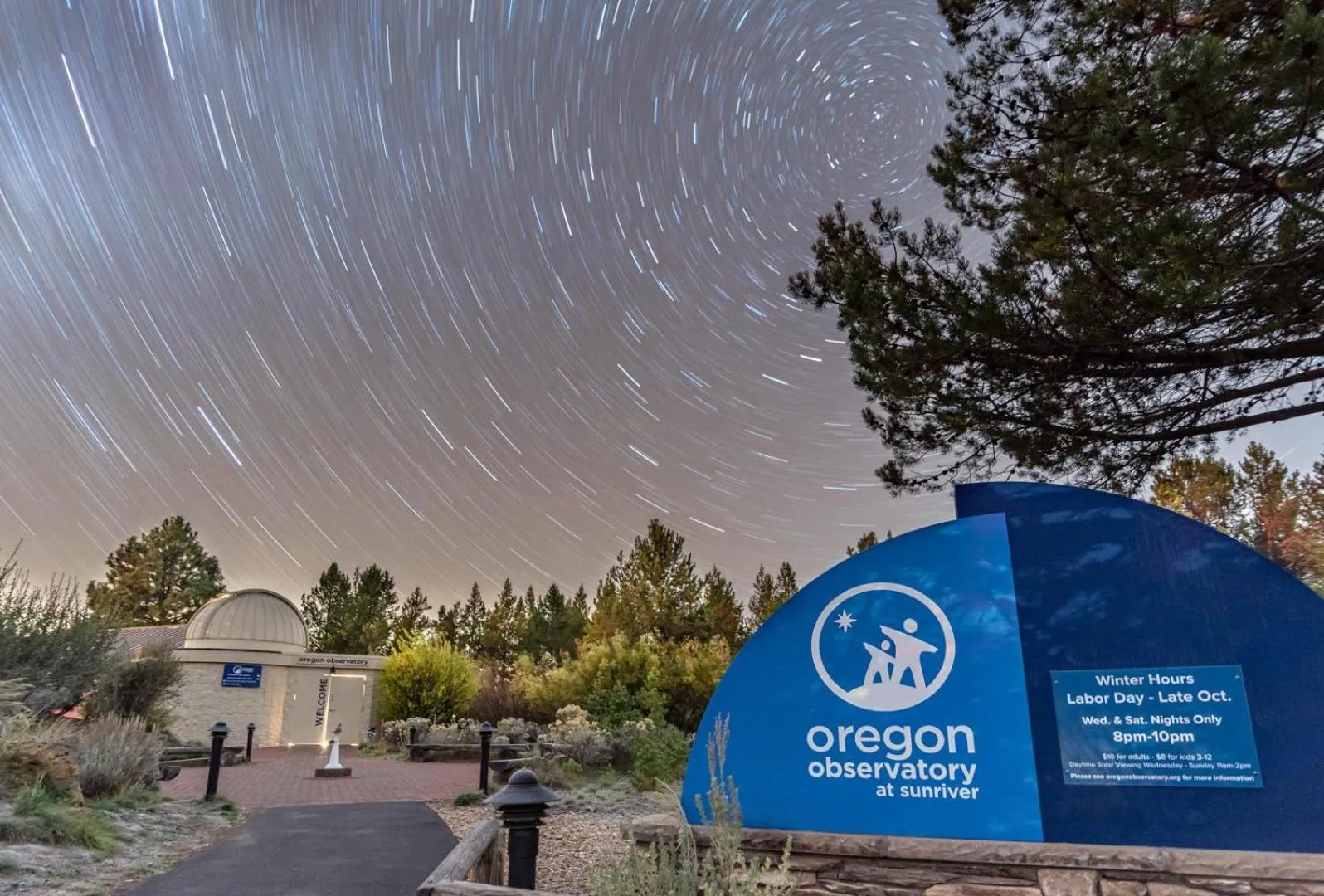 Vine Maple - Unit 30