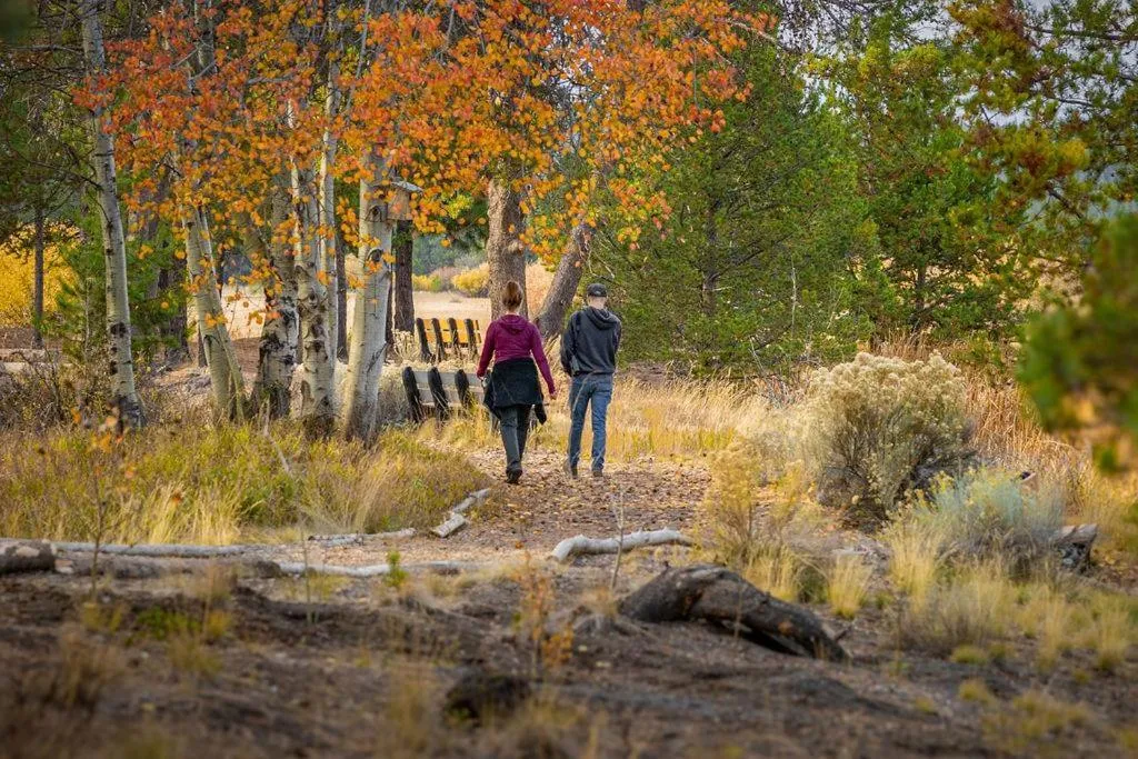 Vine Maple - Unit 30