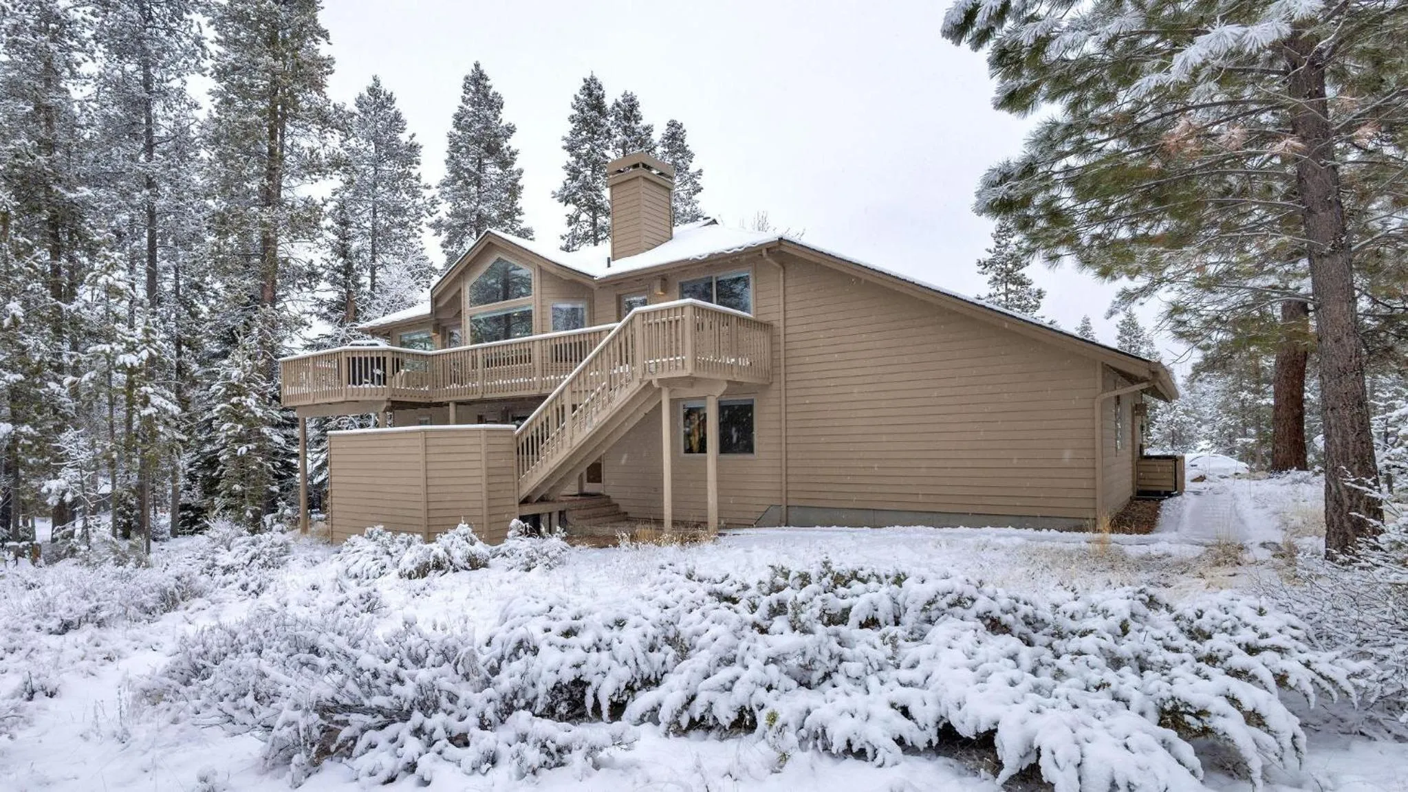 Vine Maple - Unit 30