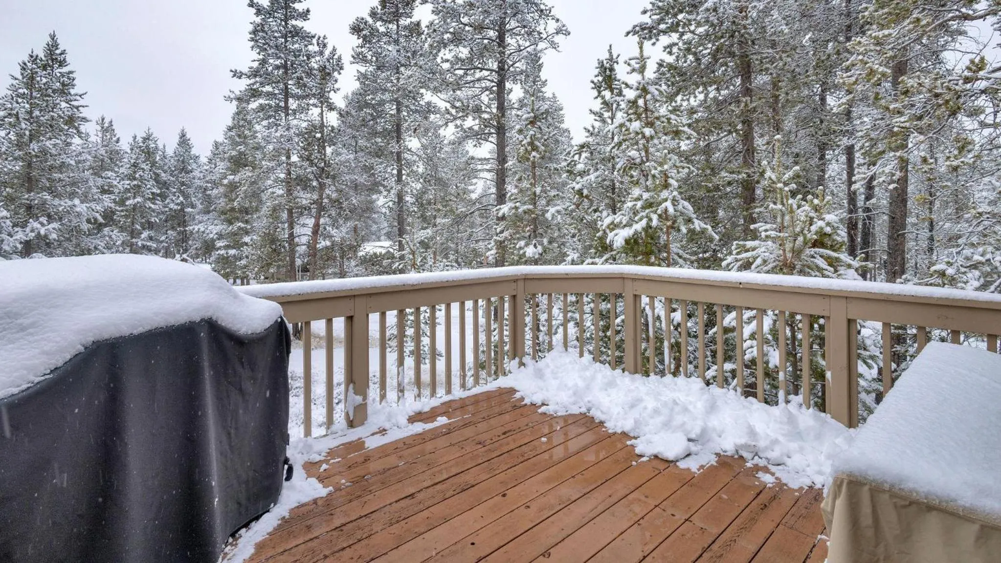 Vine Maple - Unit 30