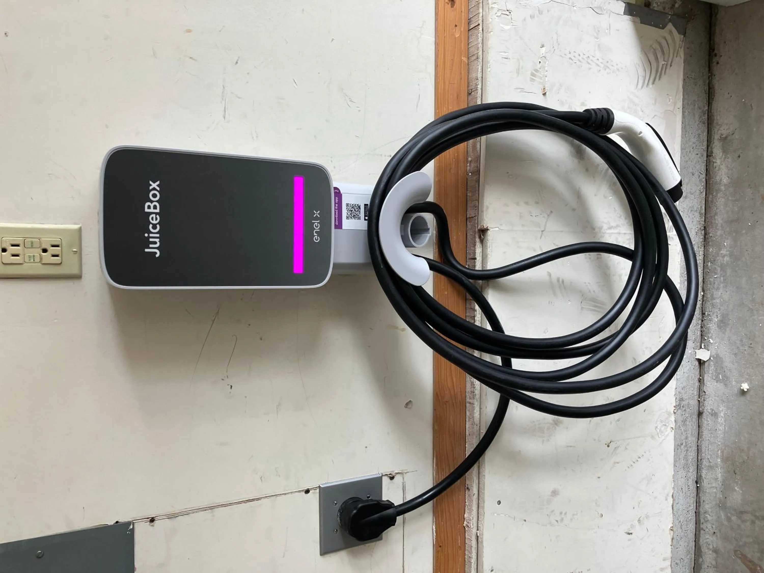 Vine Maple - Unit 30