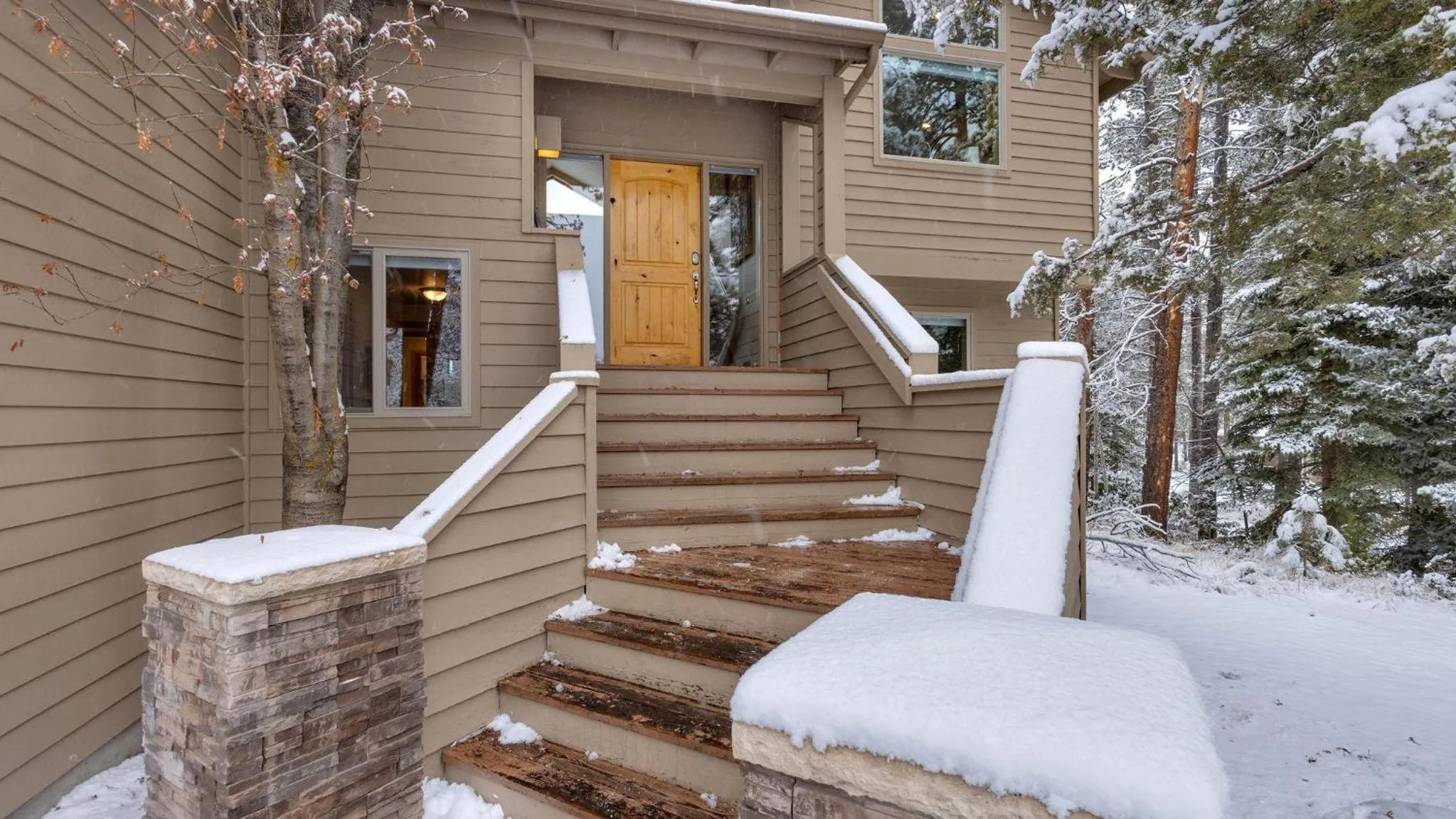 Vine Maple - Unit 30