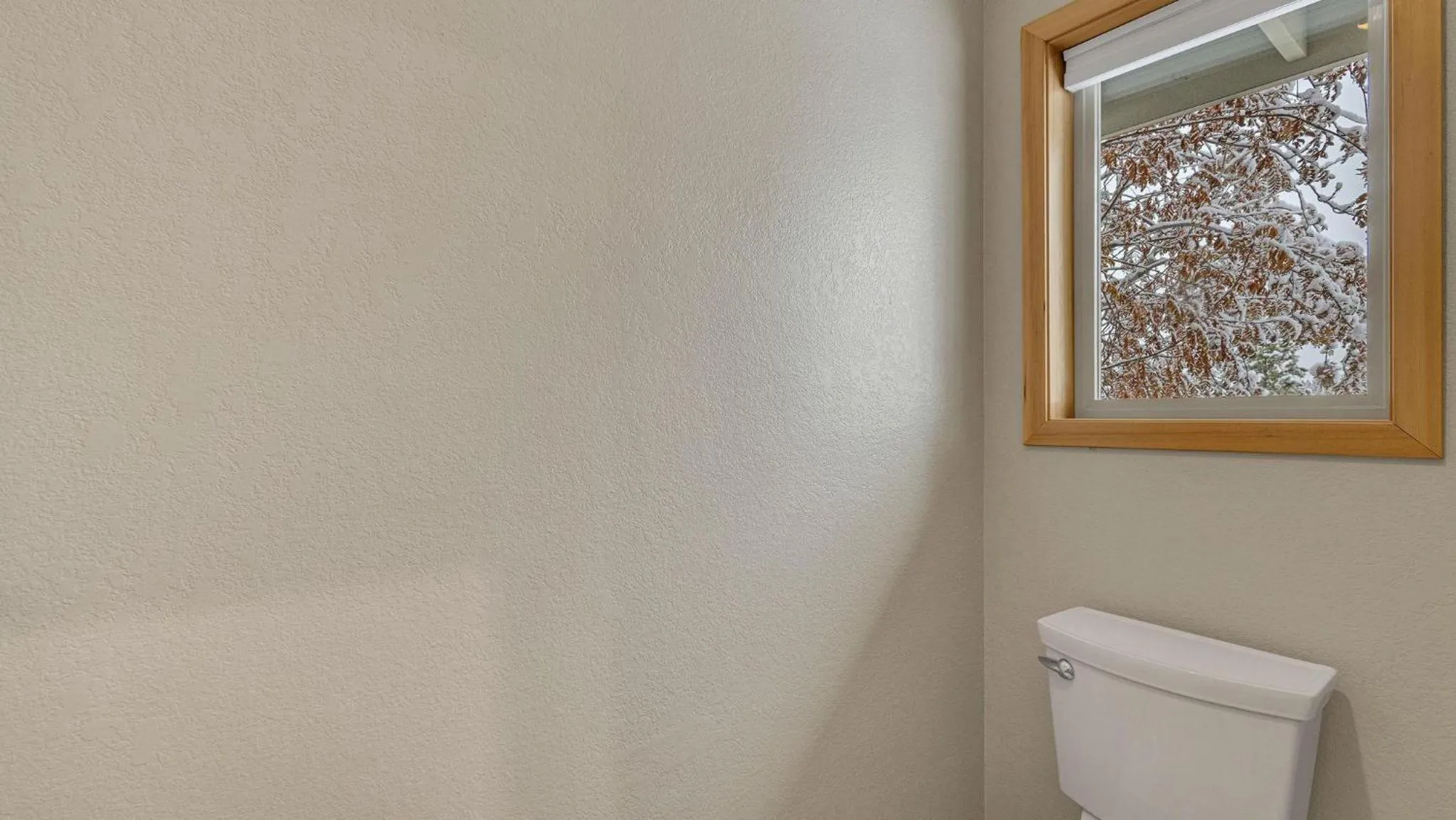 Vine Maple - Unit 30