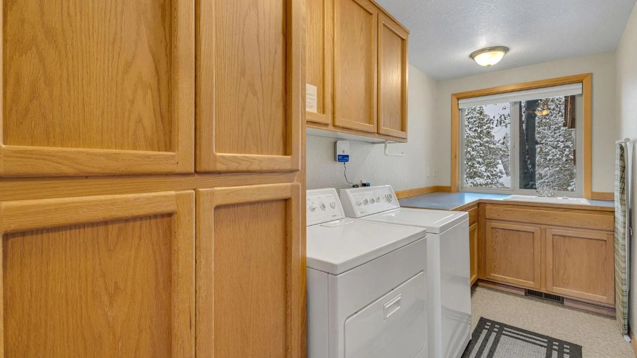 Vine Maple - Unit 30