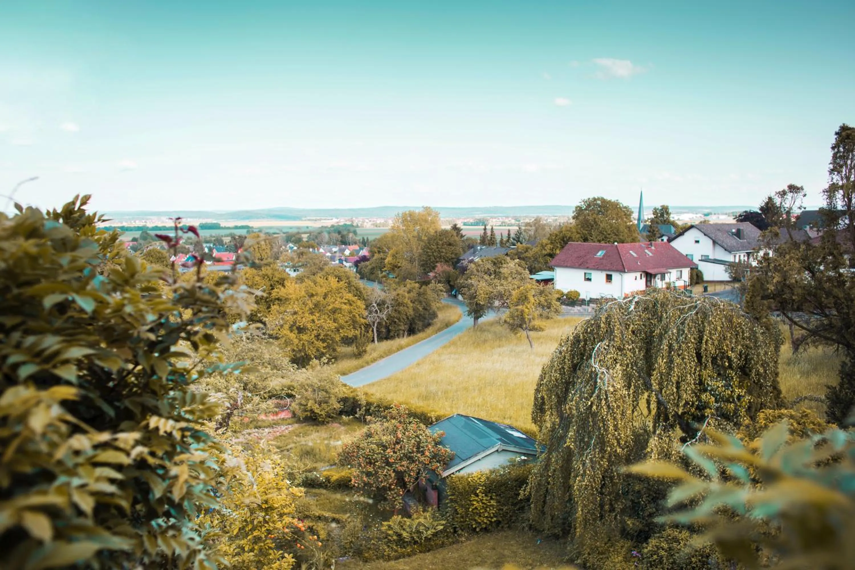 View (from property/room) in Bed & Breakfast Unter den Linden