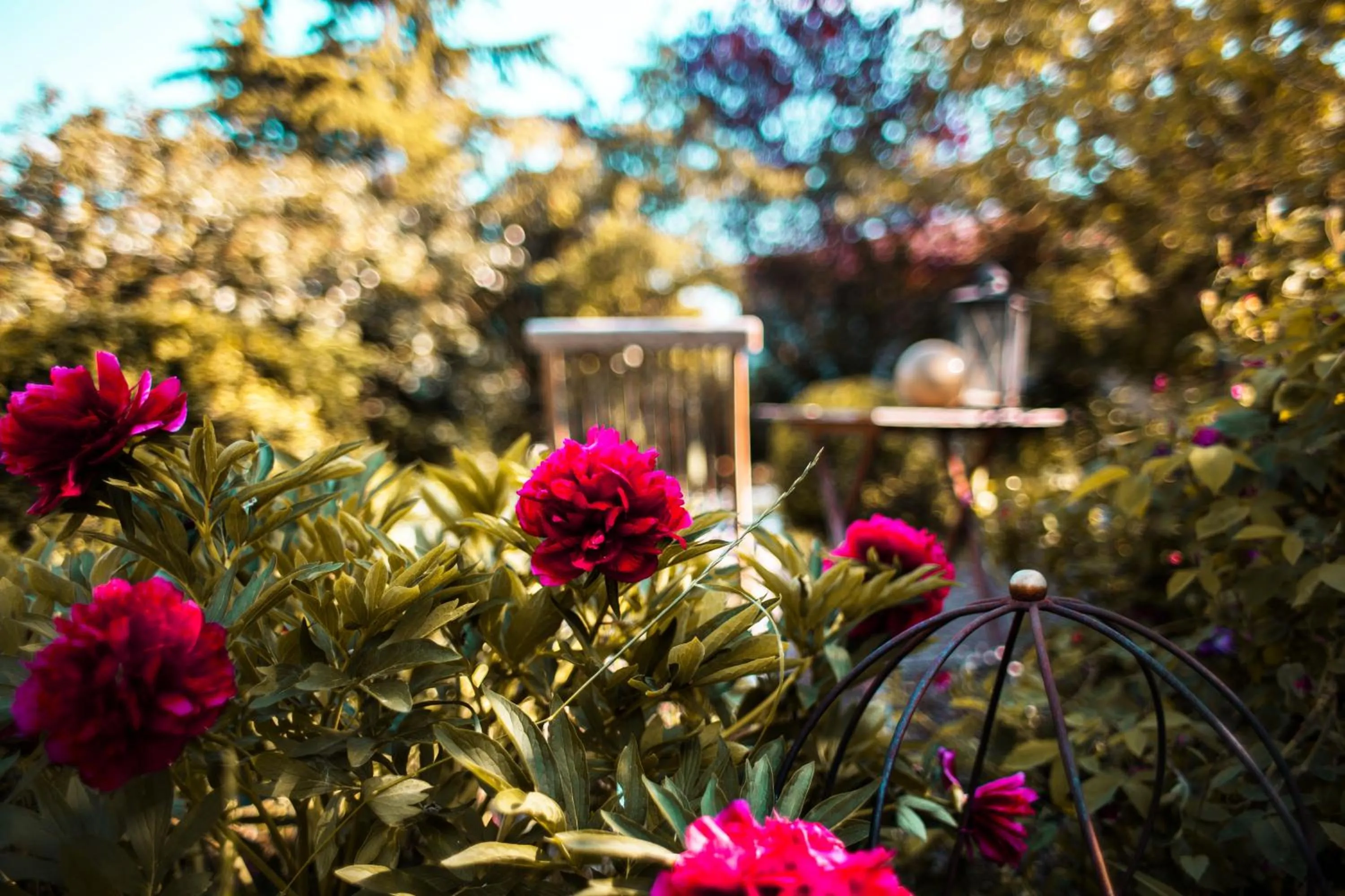 Property building in Bed & Breakfast Unter den Linden