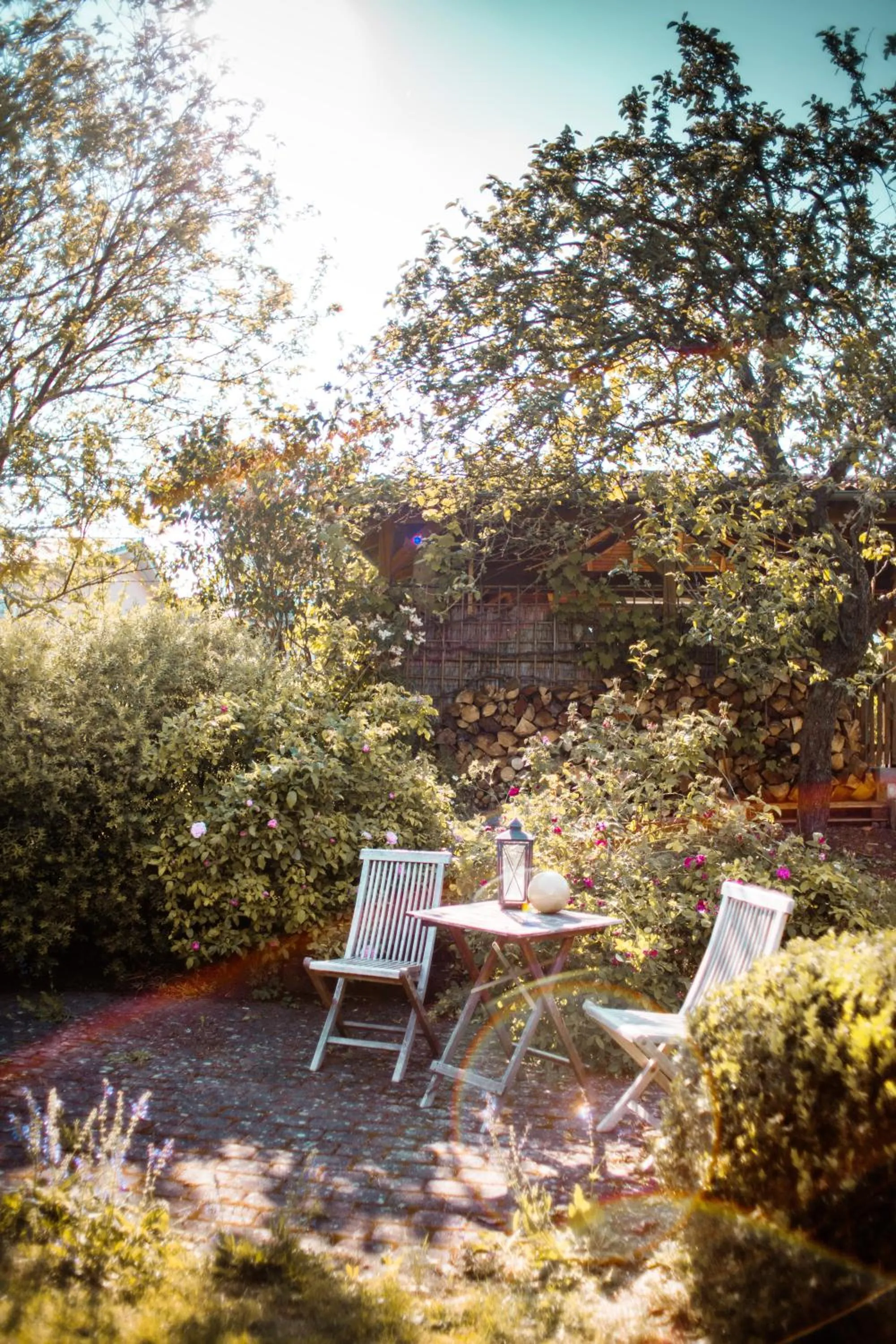 Garden in Bed & Breakfast Unter den Linden