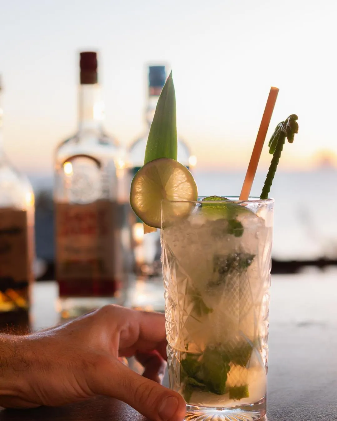 Drinks in Hôtel Iloma