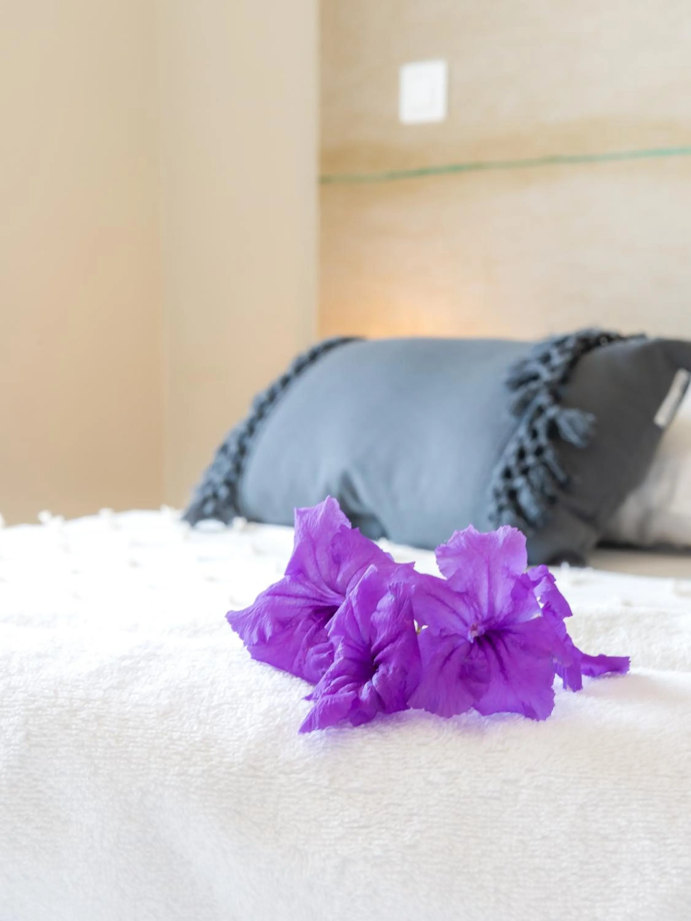 Decorative detail, Bed in Hôtel Iloma