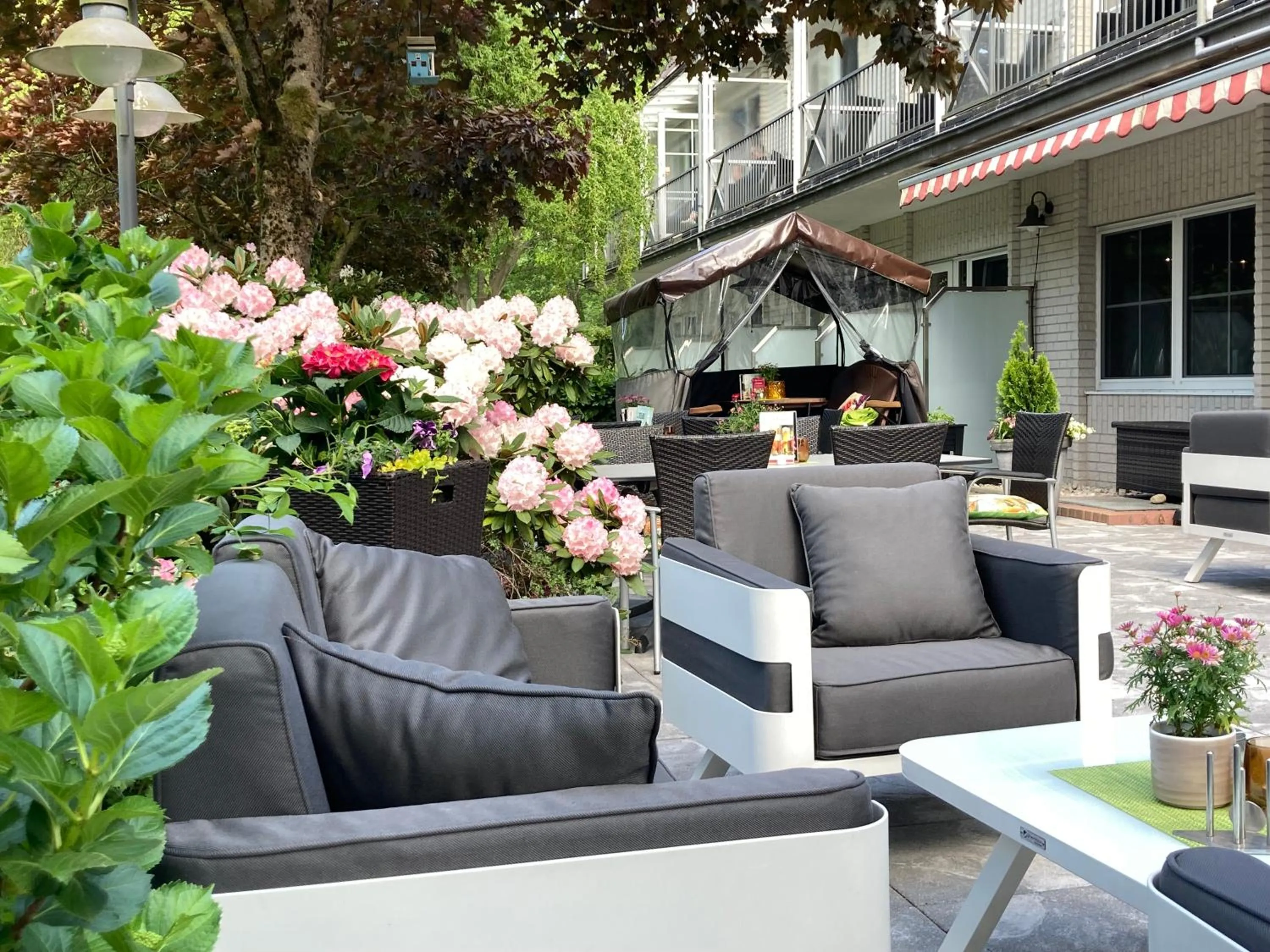 Spring in NordWest-Hotel Bad Zwischenahn