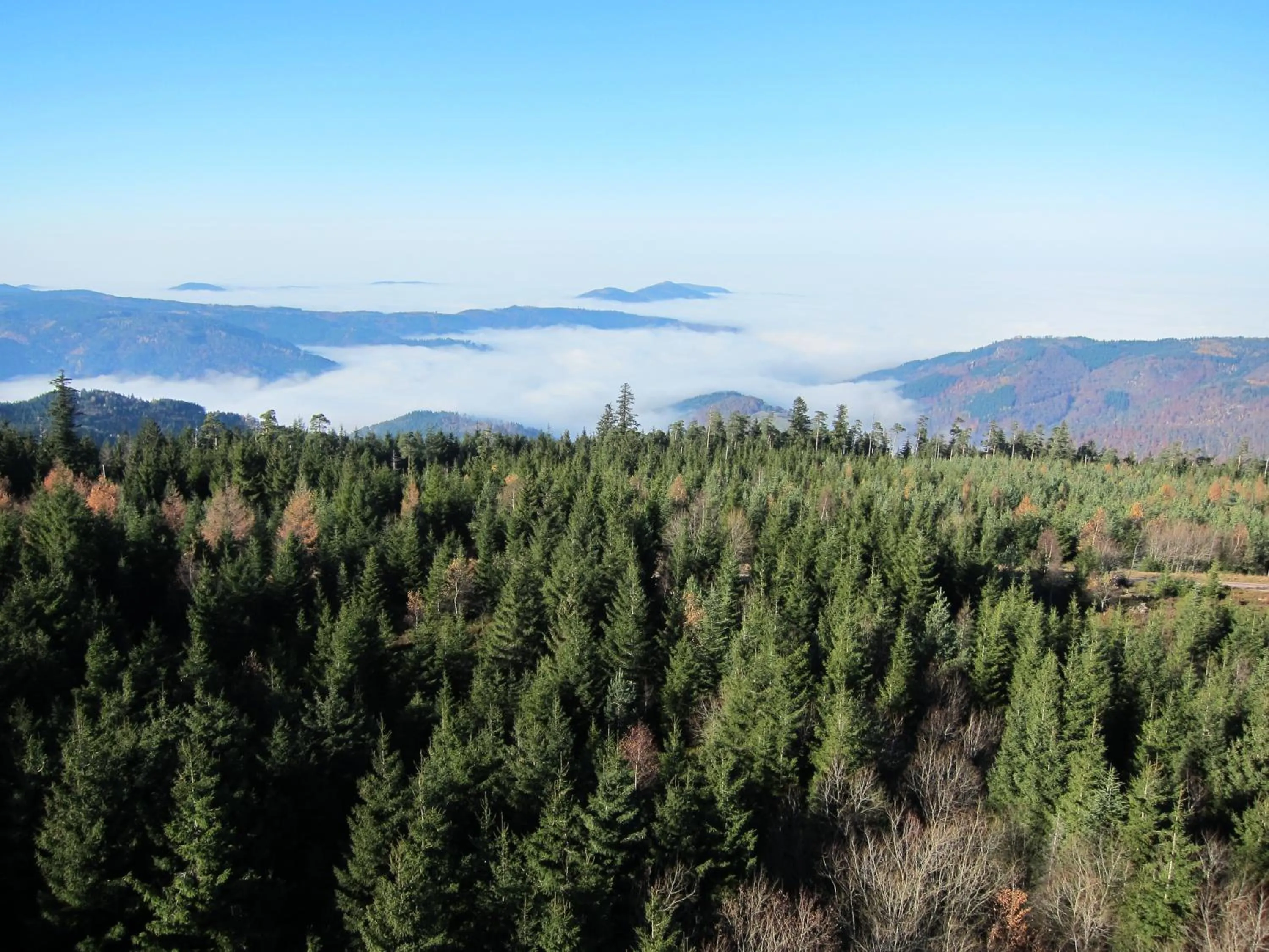 Hiking in Haus am Kurpark