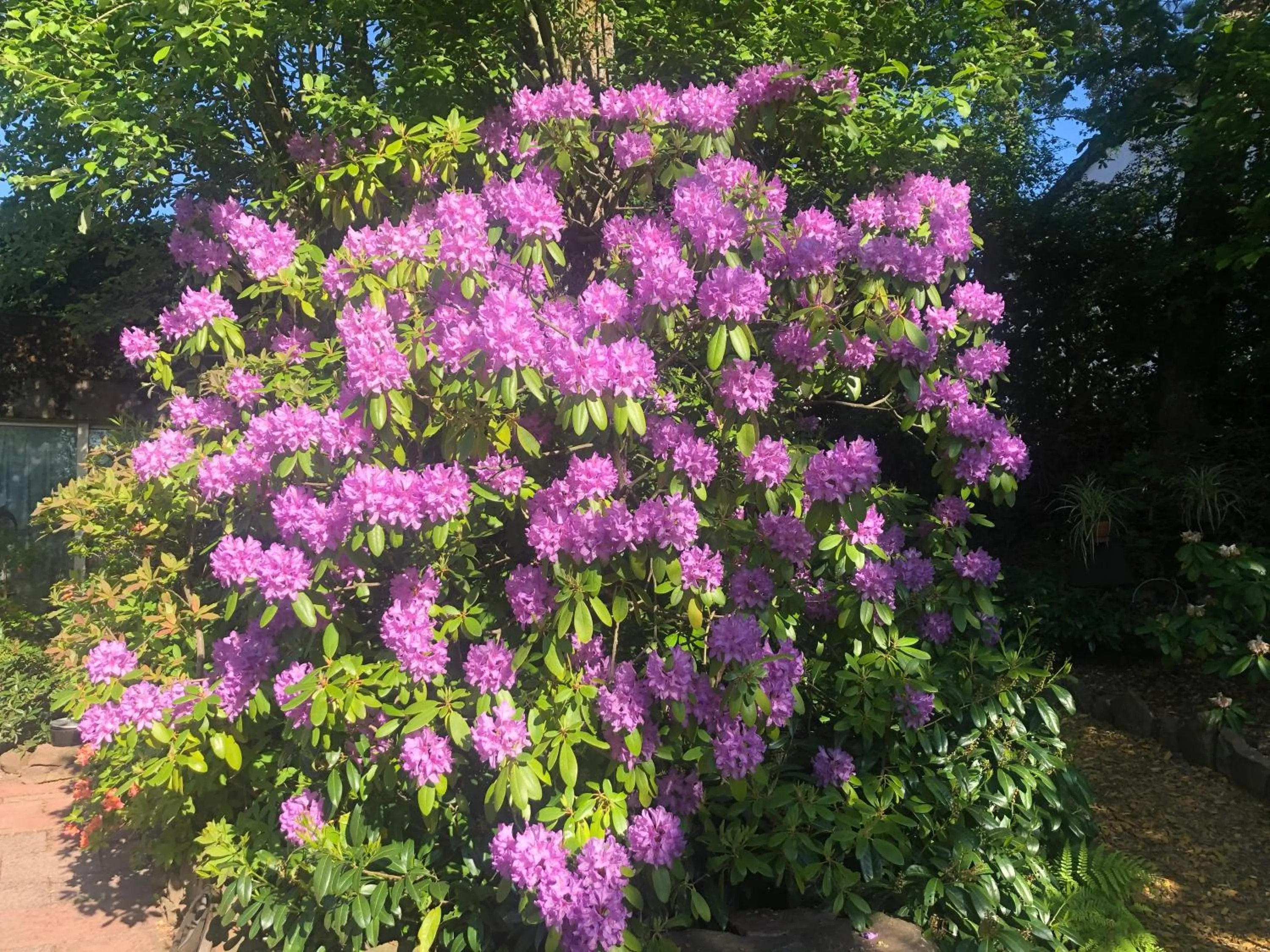 Spring in Haus am Kurpark