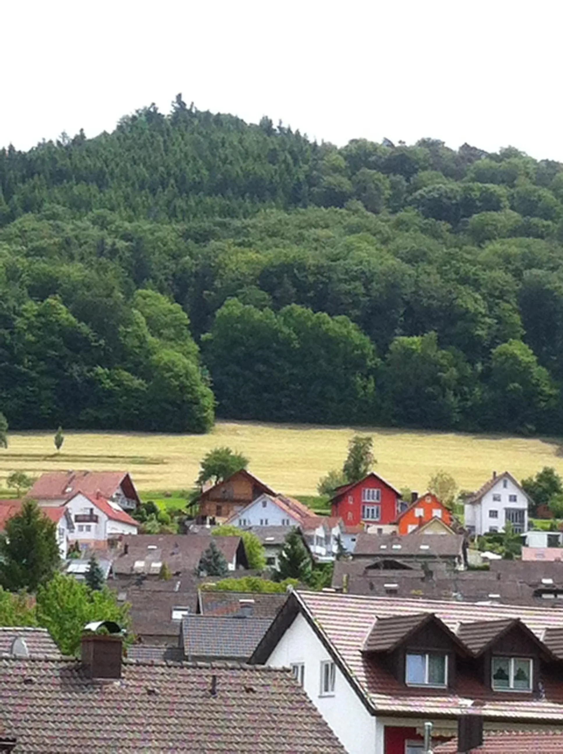 Area and facilities in Hotel Garni Schmieder’s Ochsen