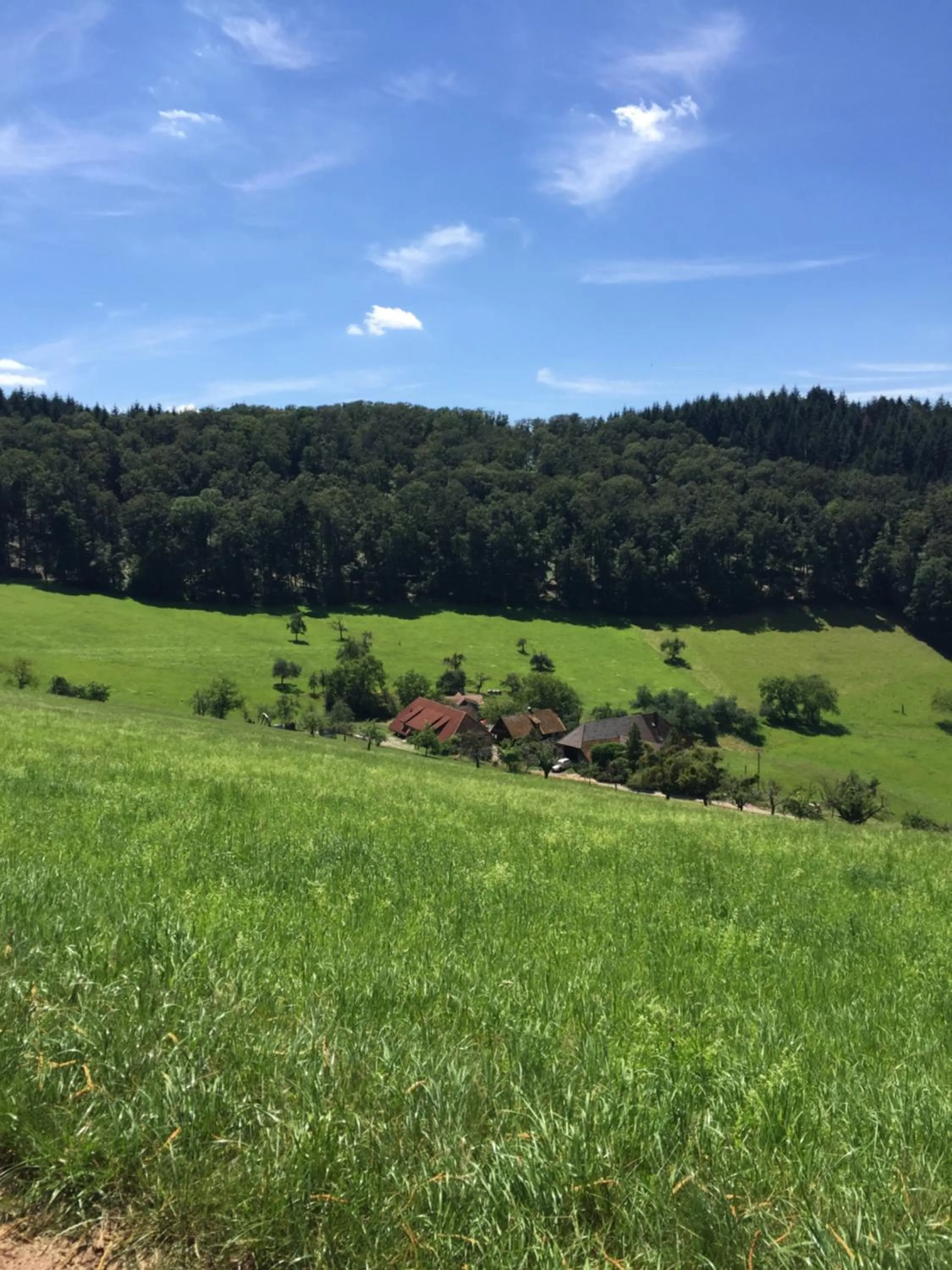 Hiking in Hotel Garni Schmieder’s Ochsen