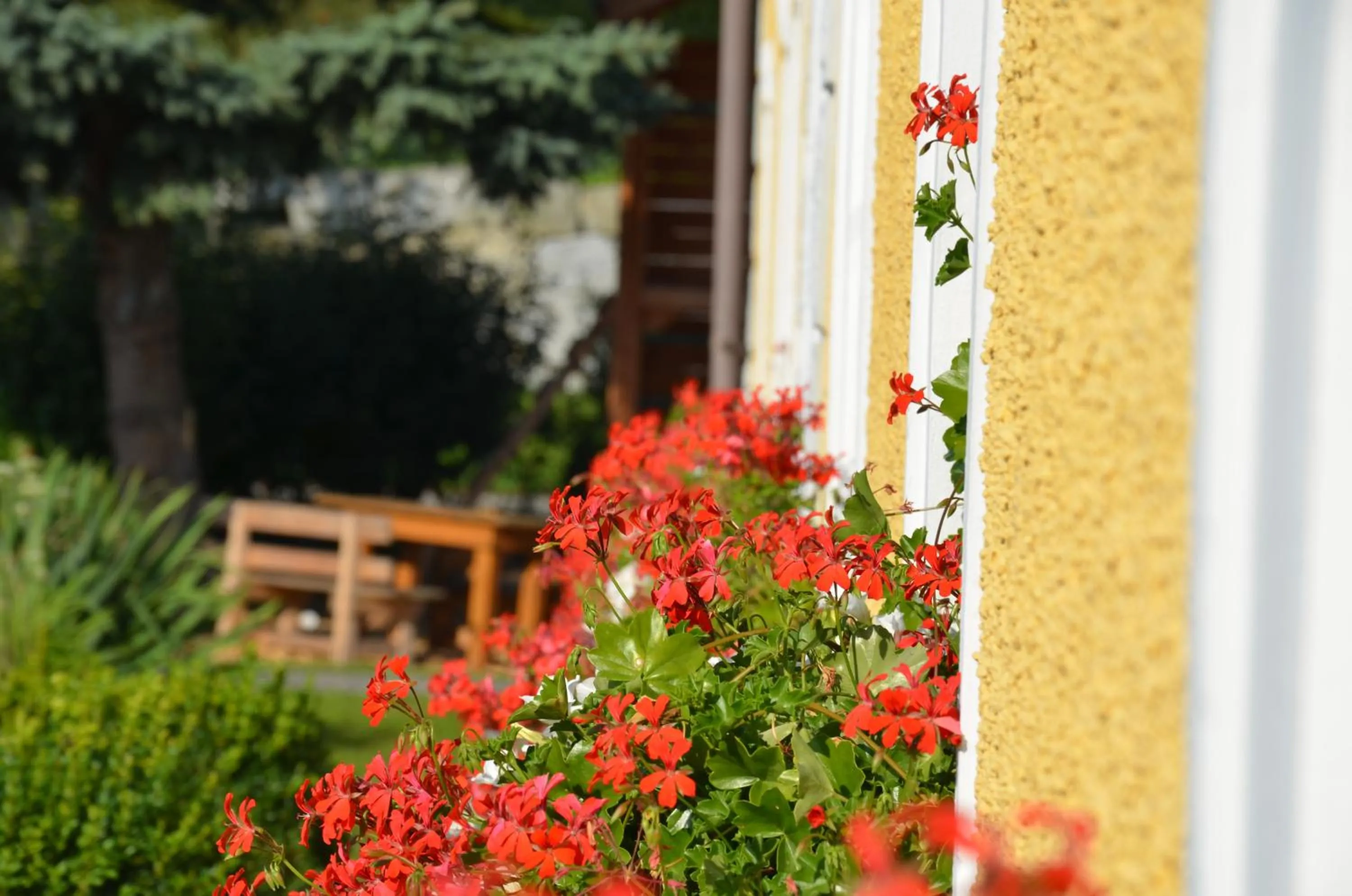 Facade/entrance in Lindenhof- Fam. Forstmayr