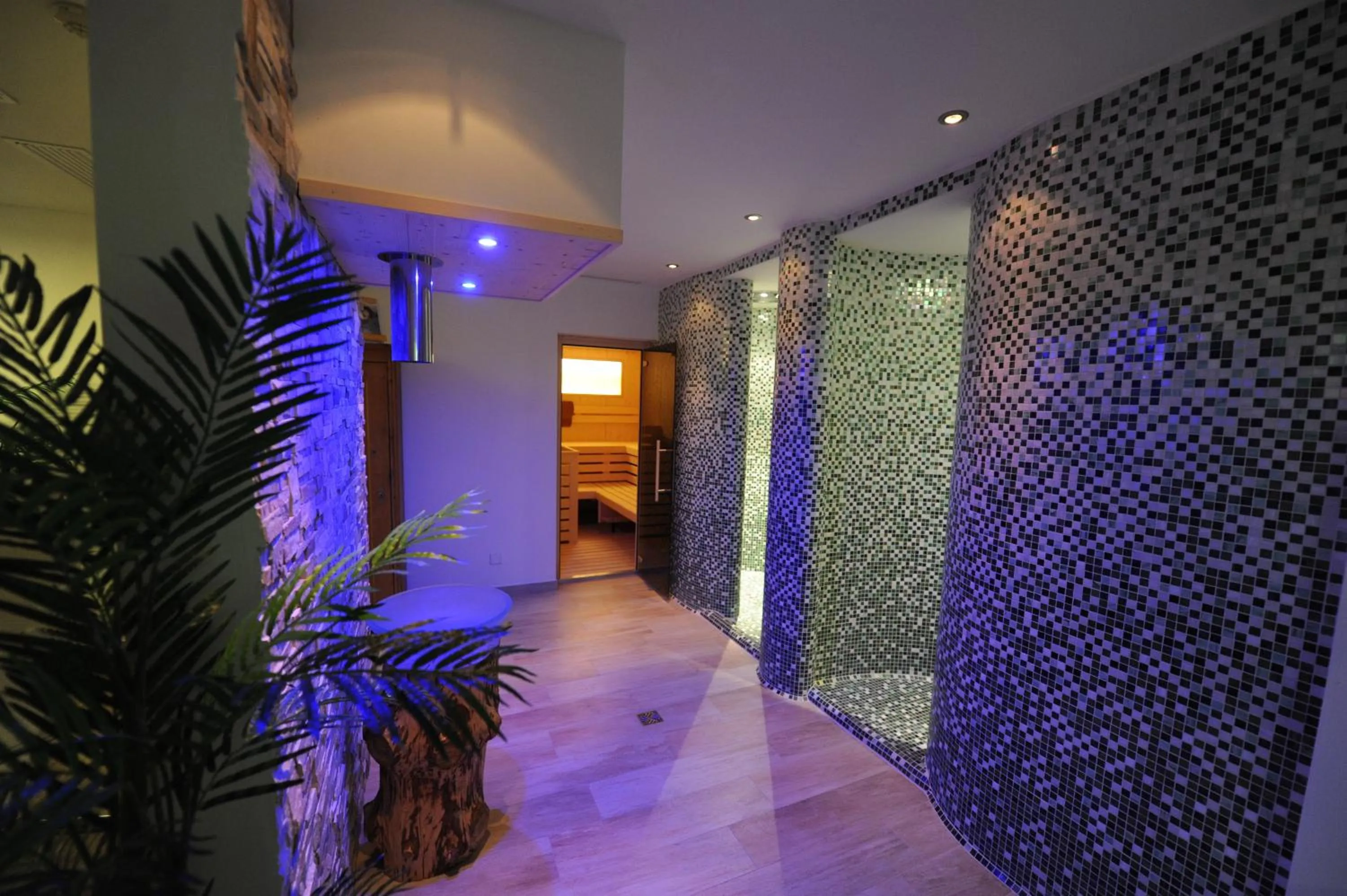 Spa and wellness centre/facilities in Apartments Restaurant Rusctlea