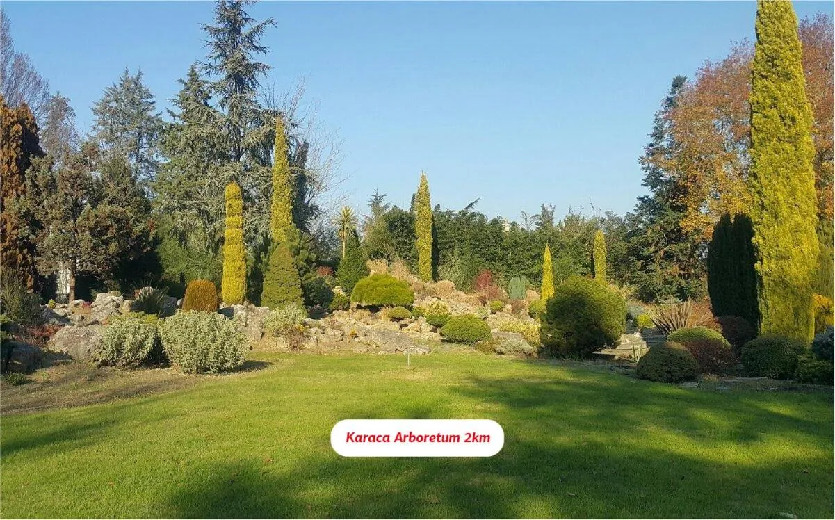 Yalova Lova Hotel & SPA Yalova