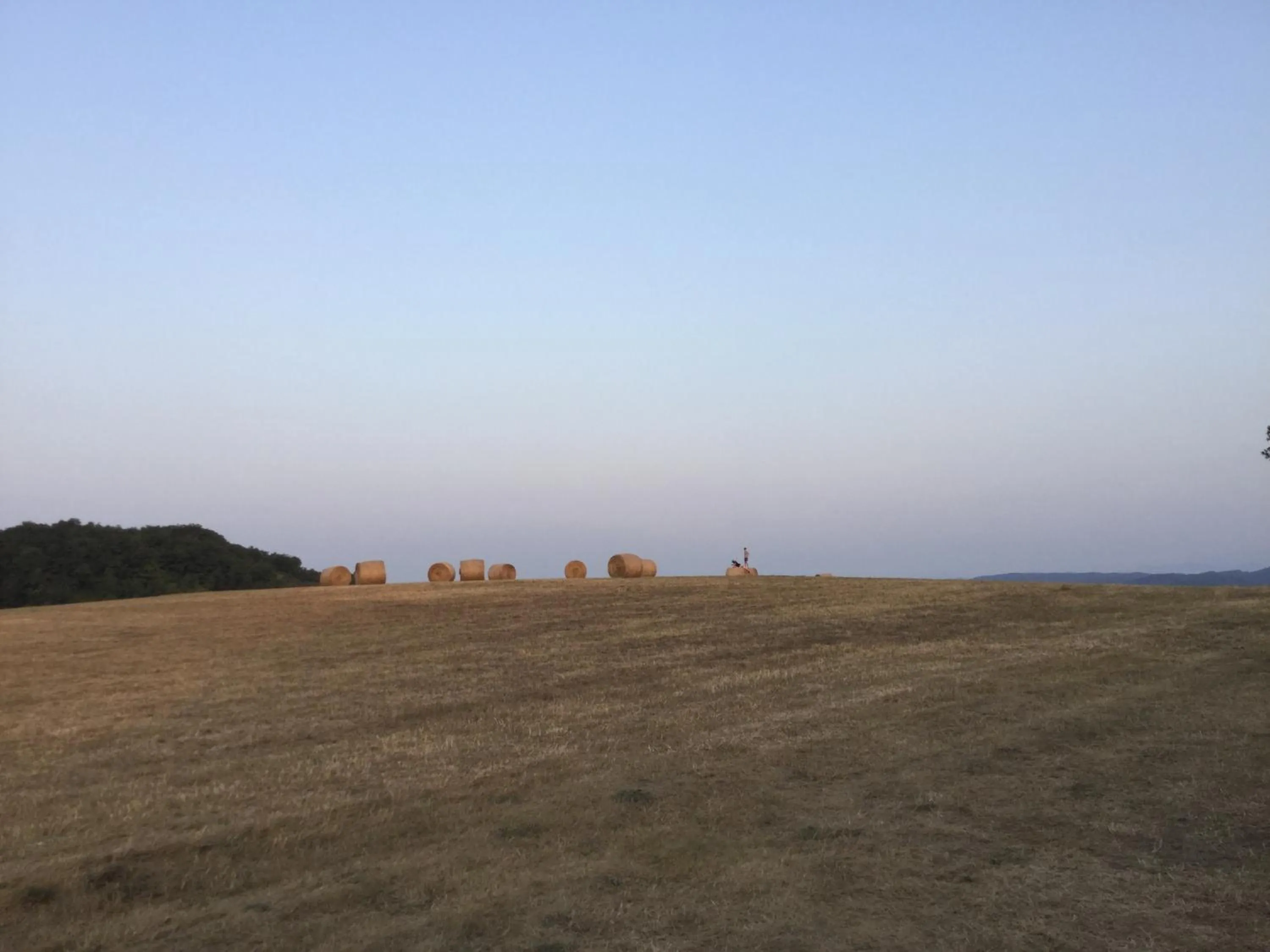 Area and facilities in Infocus-Du-Sud