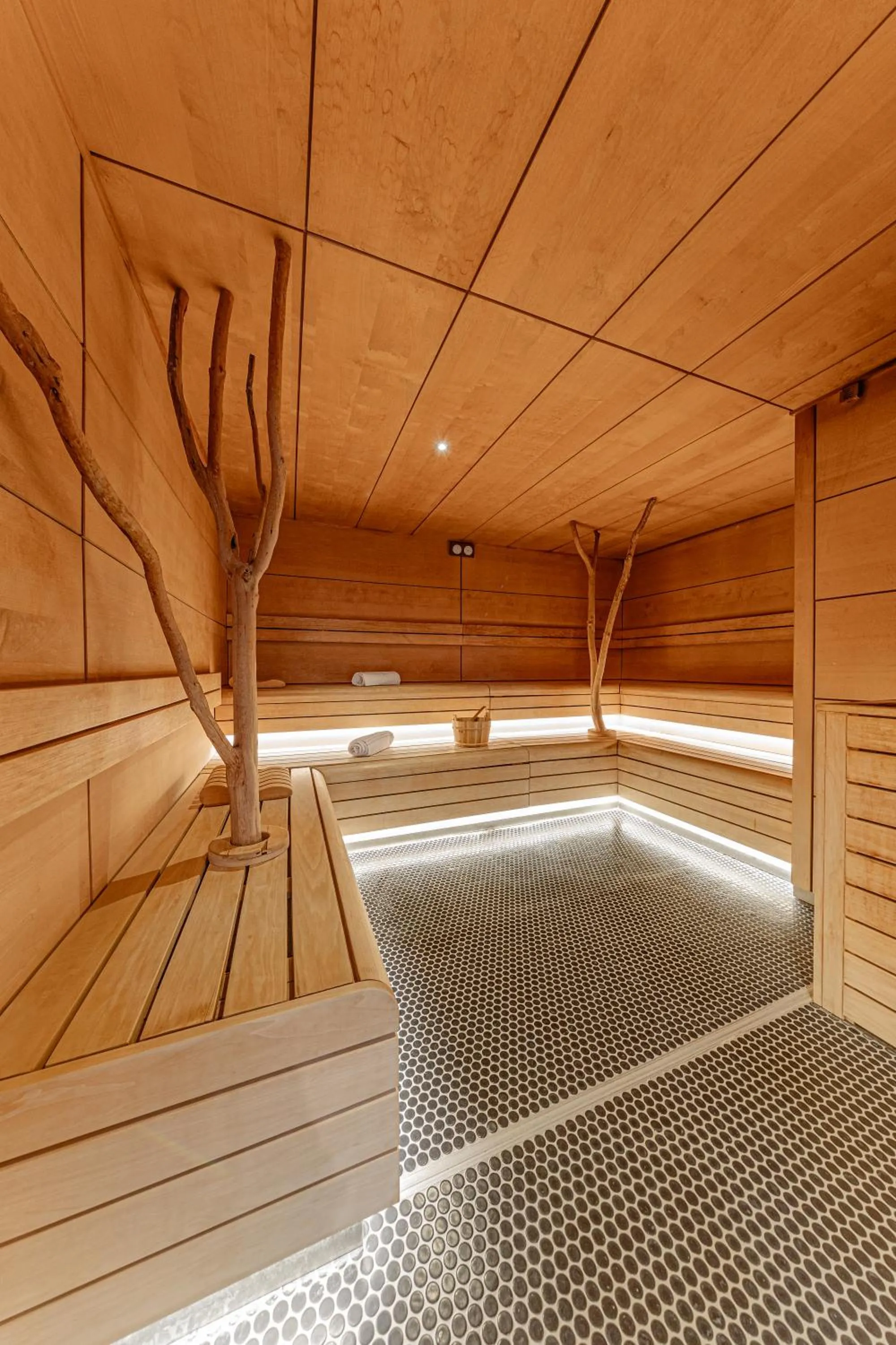 Sauna in Domaine de Dolomieu Hotel & Spa - BW Premier Collection