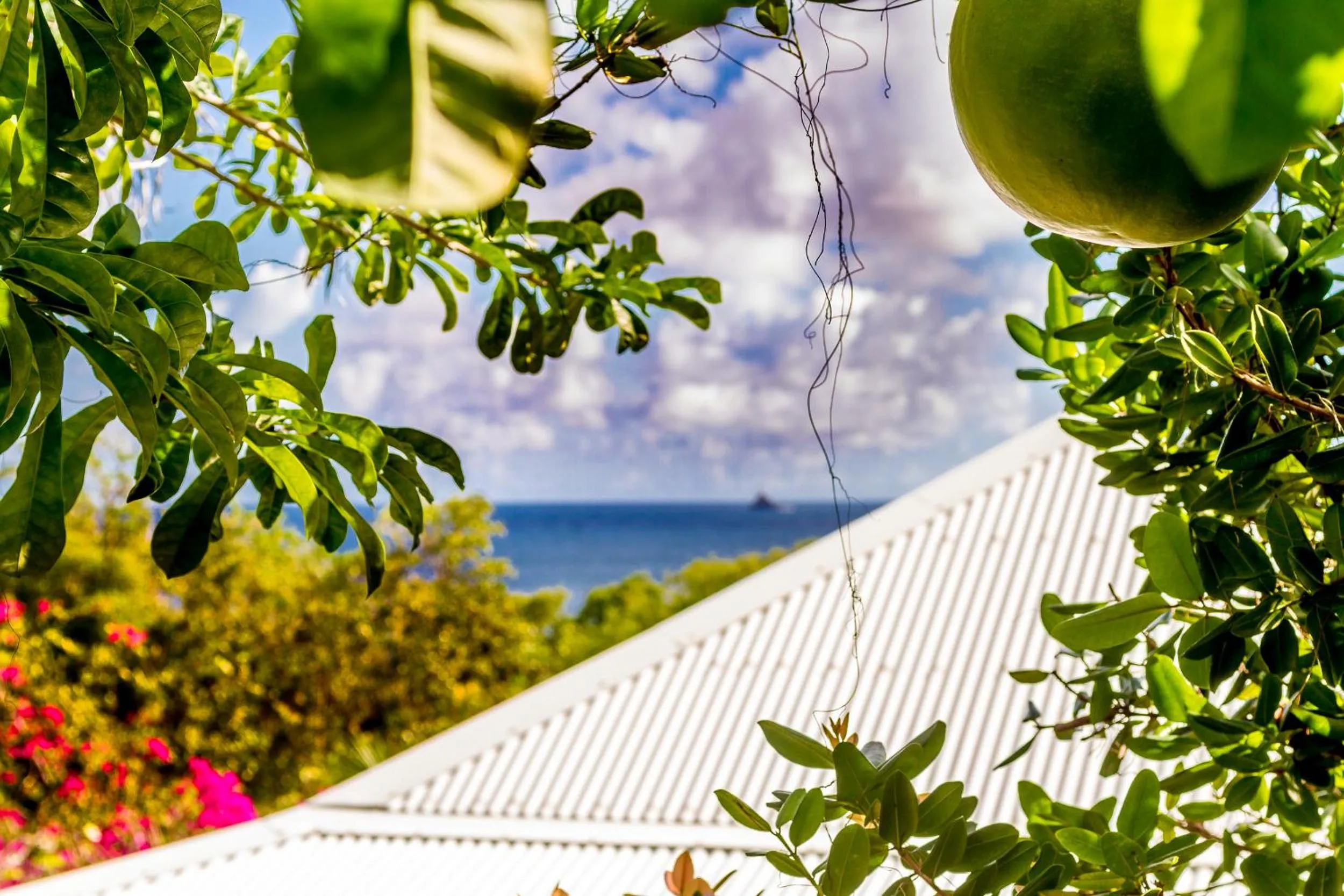 Garden in Hôtel Résidence Océane
