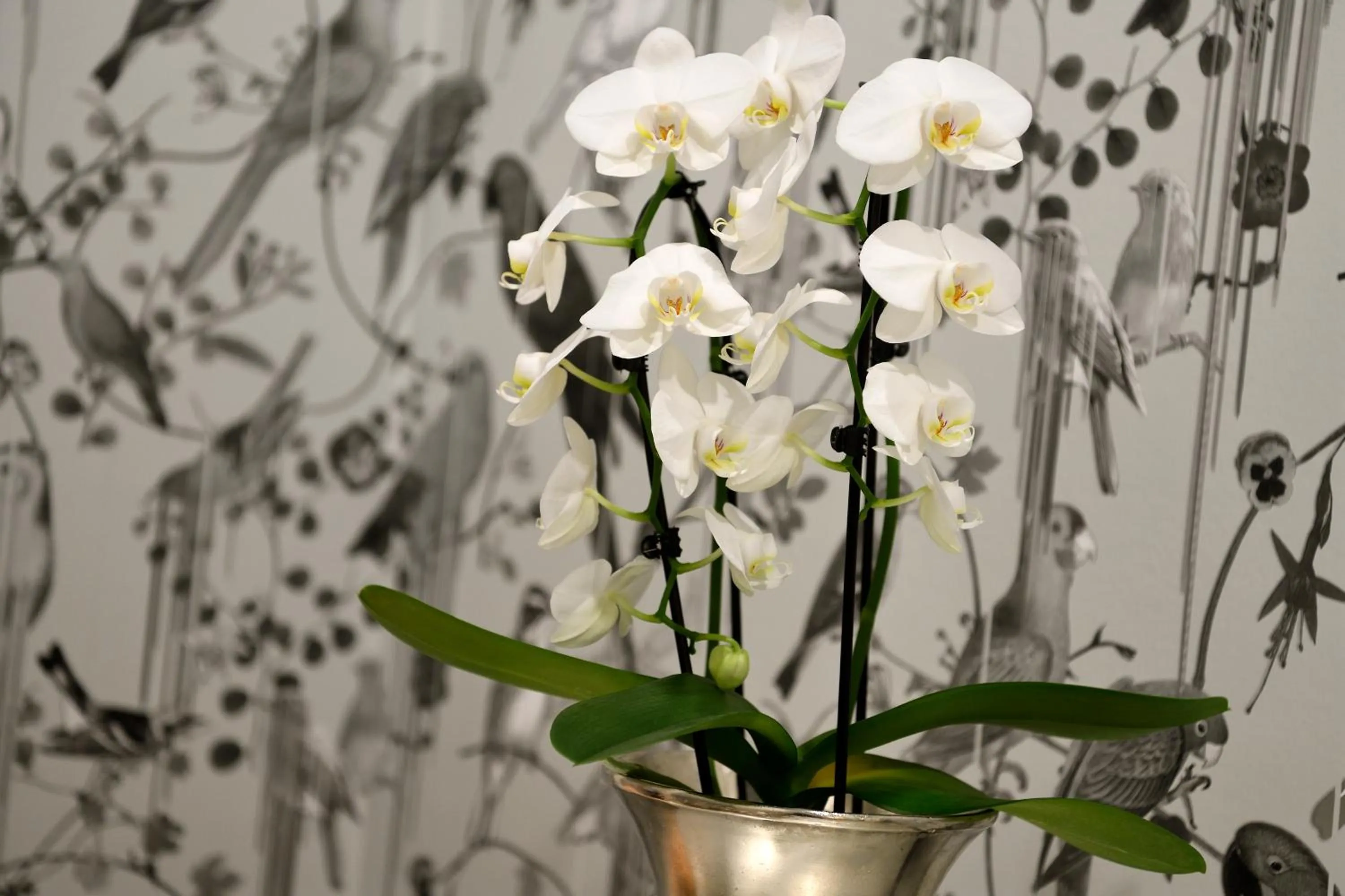 Decorative detail in Kastens Hotel Luisenhof