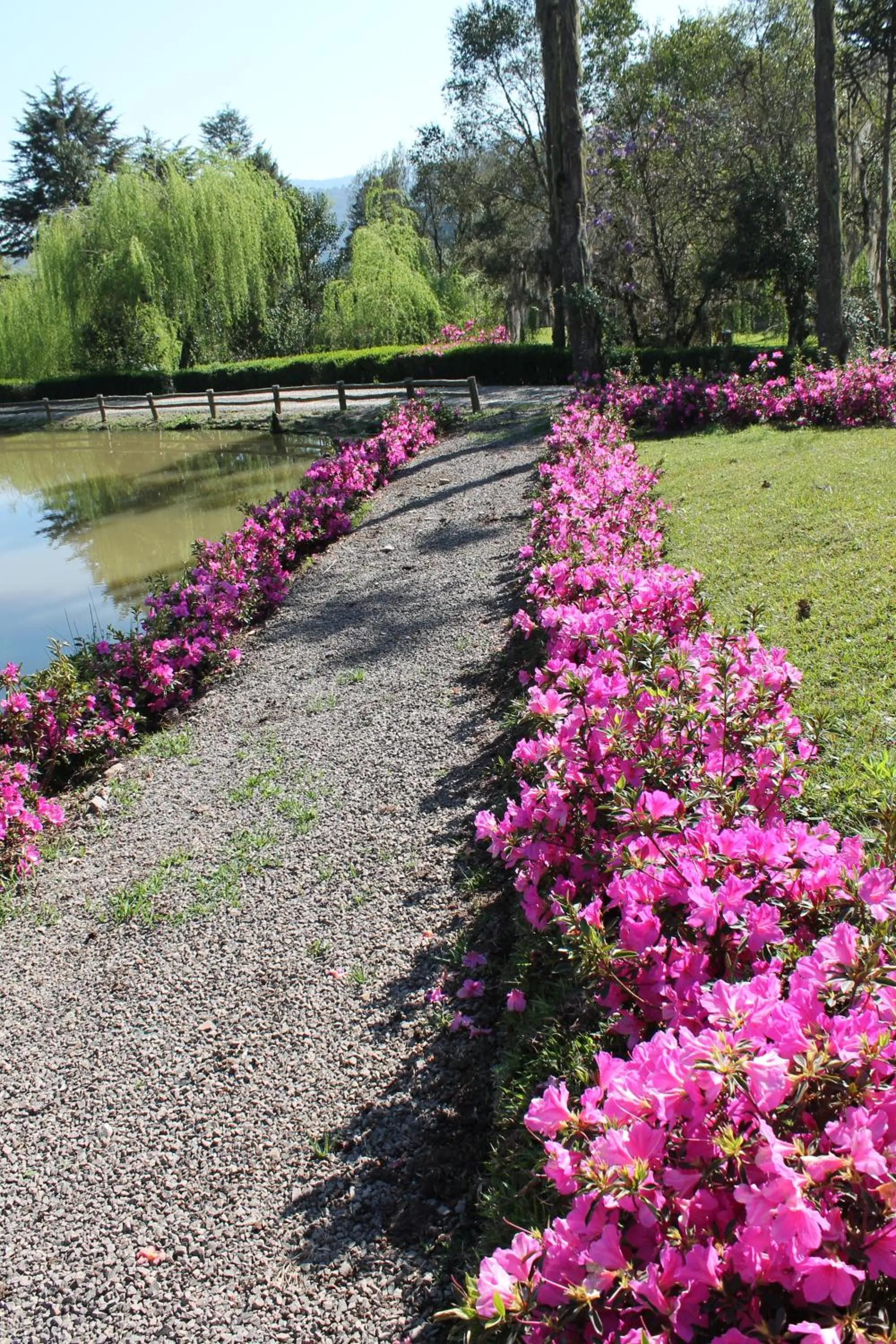 Day in Serra Bela Eco Pousada