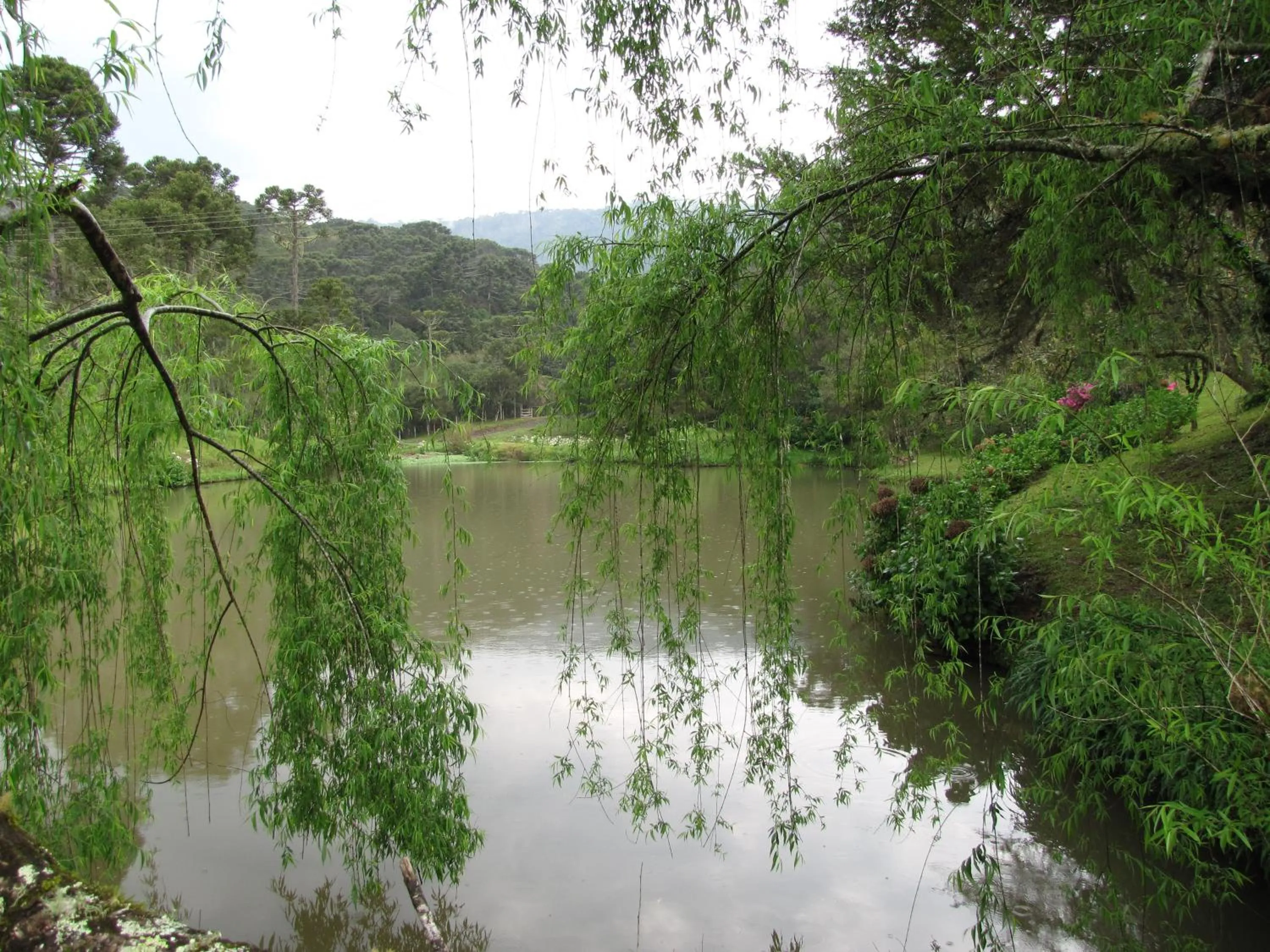 Natural landscape in Serra Bela Eco Pousada