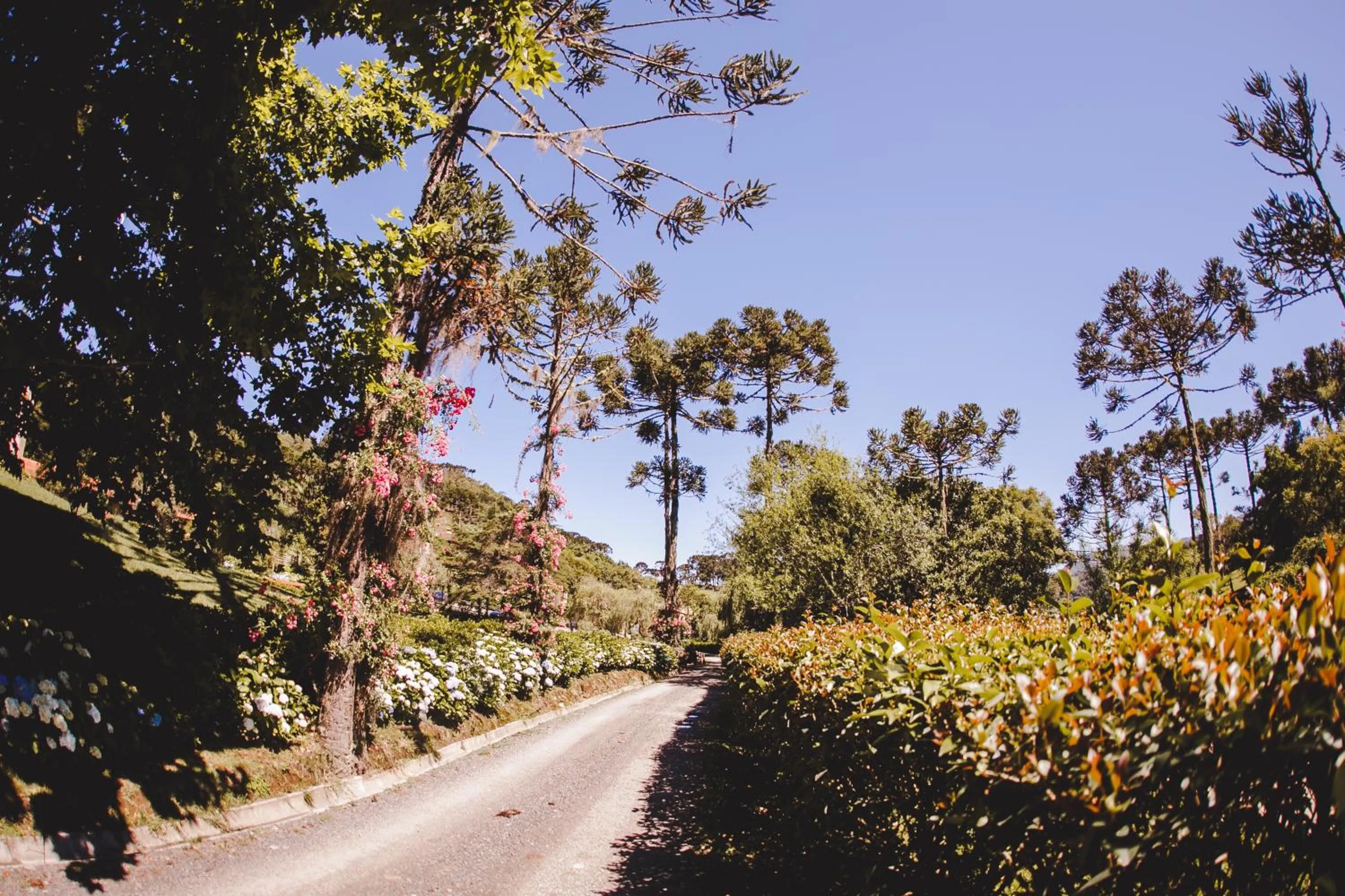 Serra Bela Eco Pousada