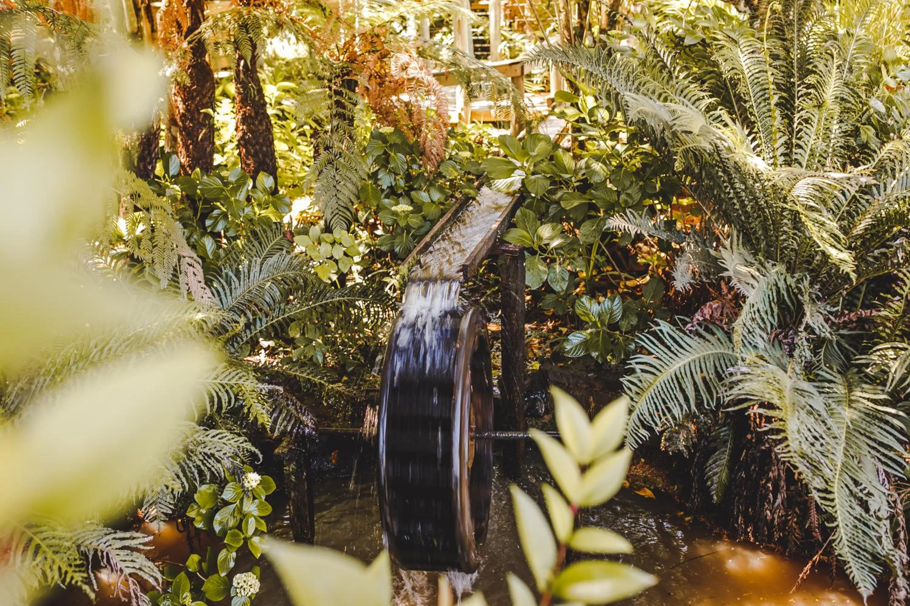 Serra Bela Eco Pousada