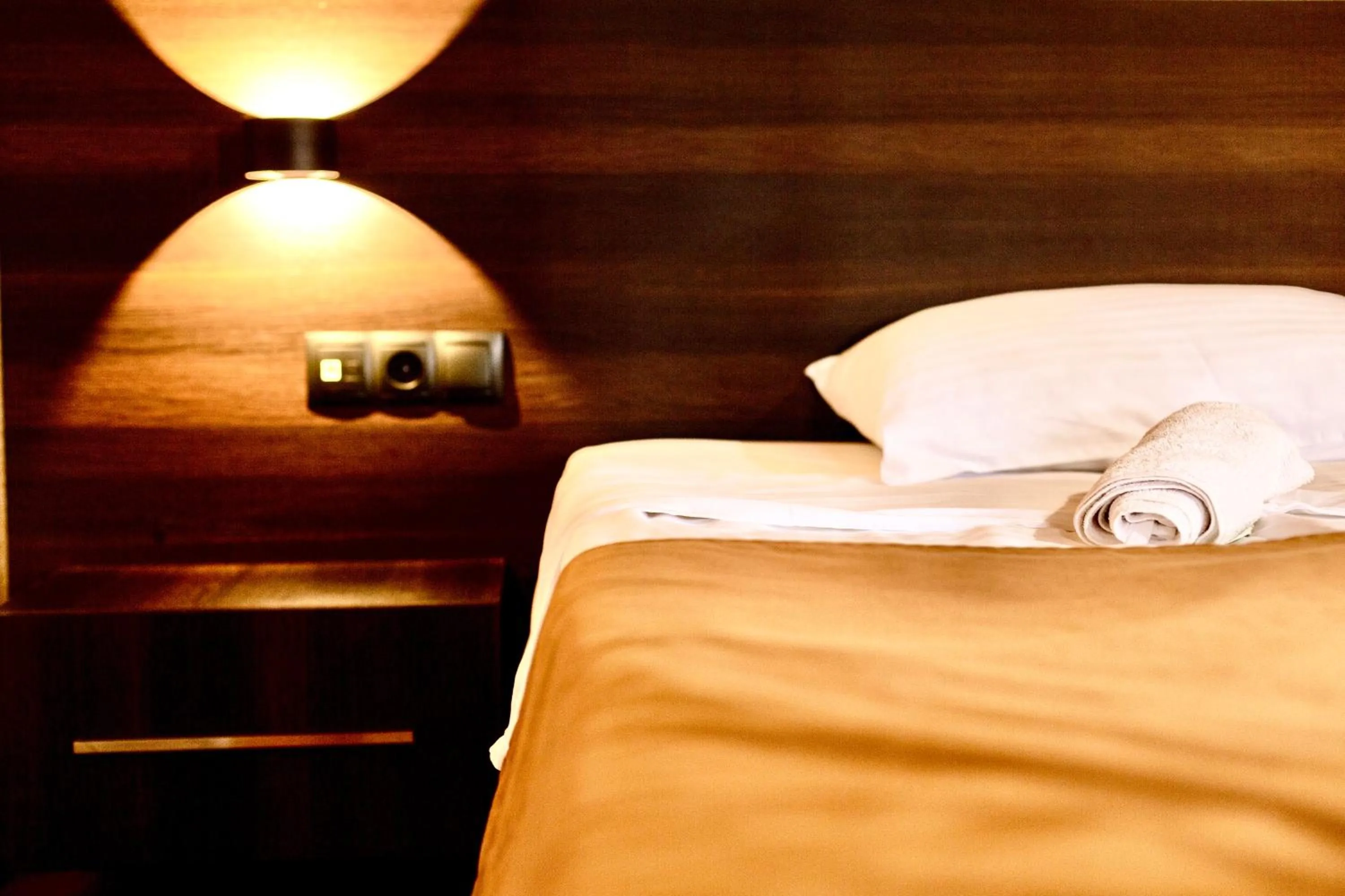 Photo of the whole room, Bed in Hotel History