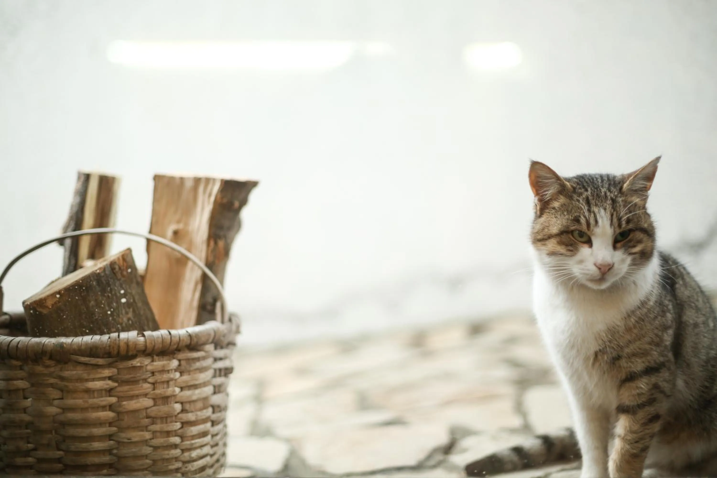 Property building in Hotel History