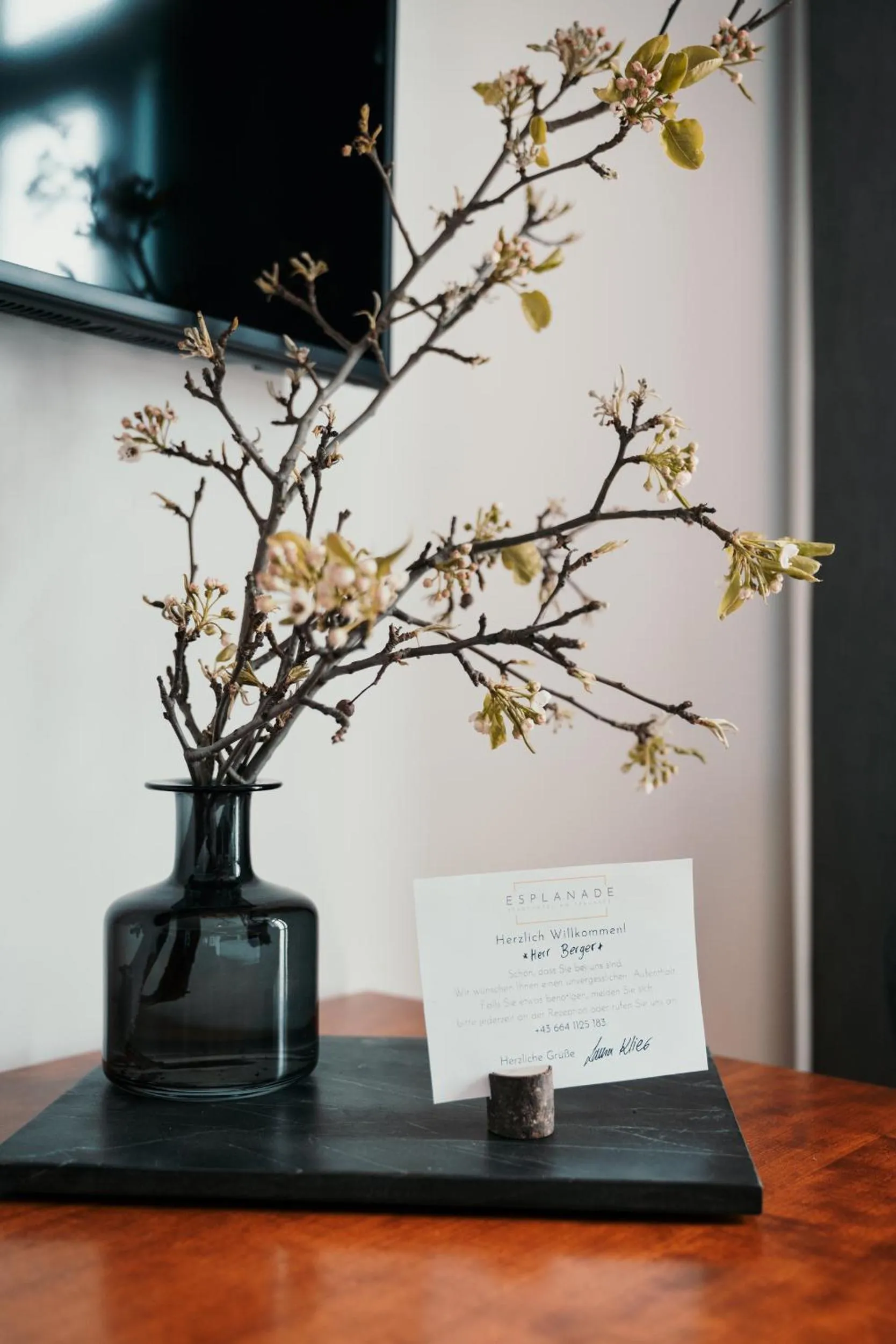 TV and multimedia in Hotel Esplanade