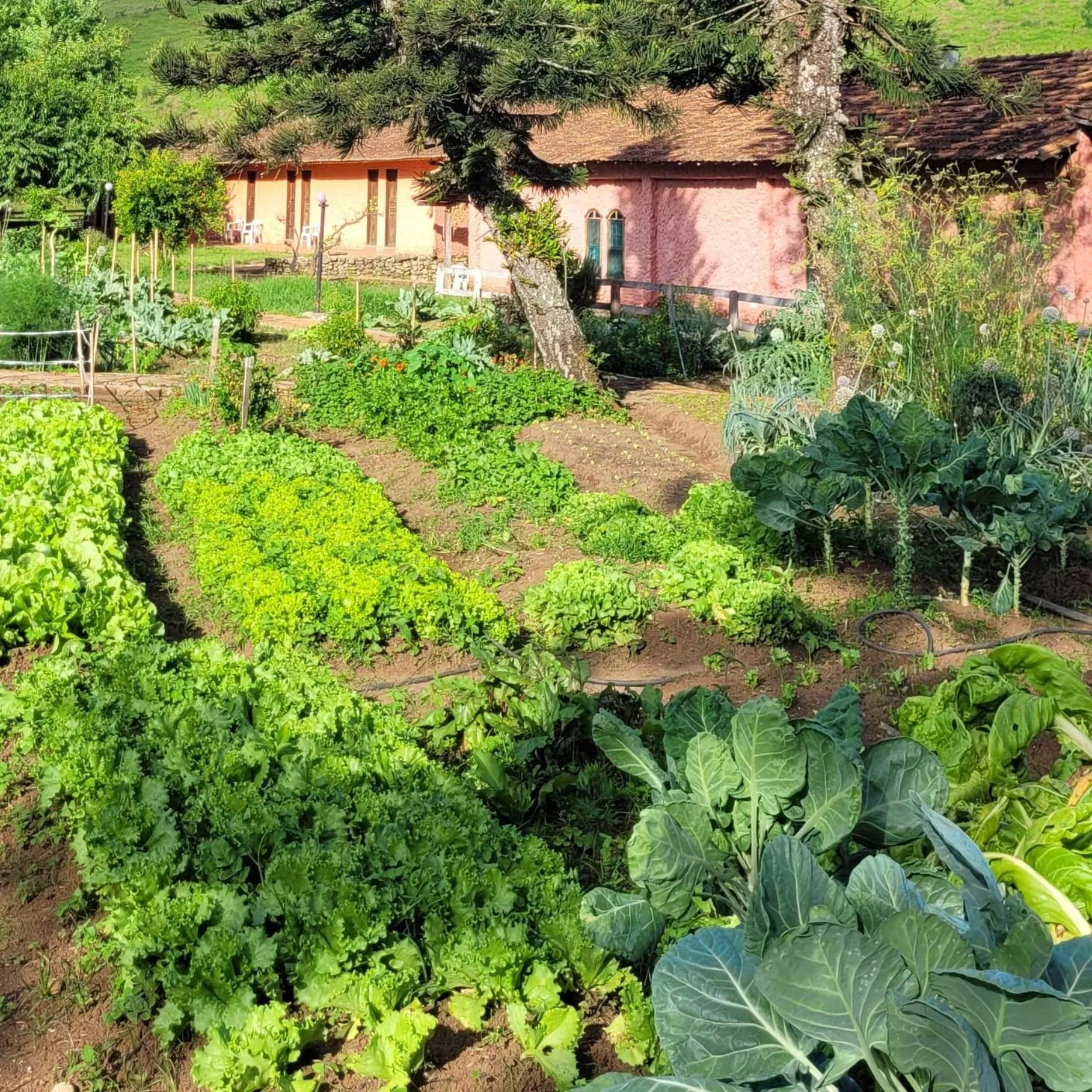 Garden in Fazenda Serra que Chora - Pousada e Restaurante