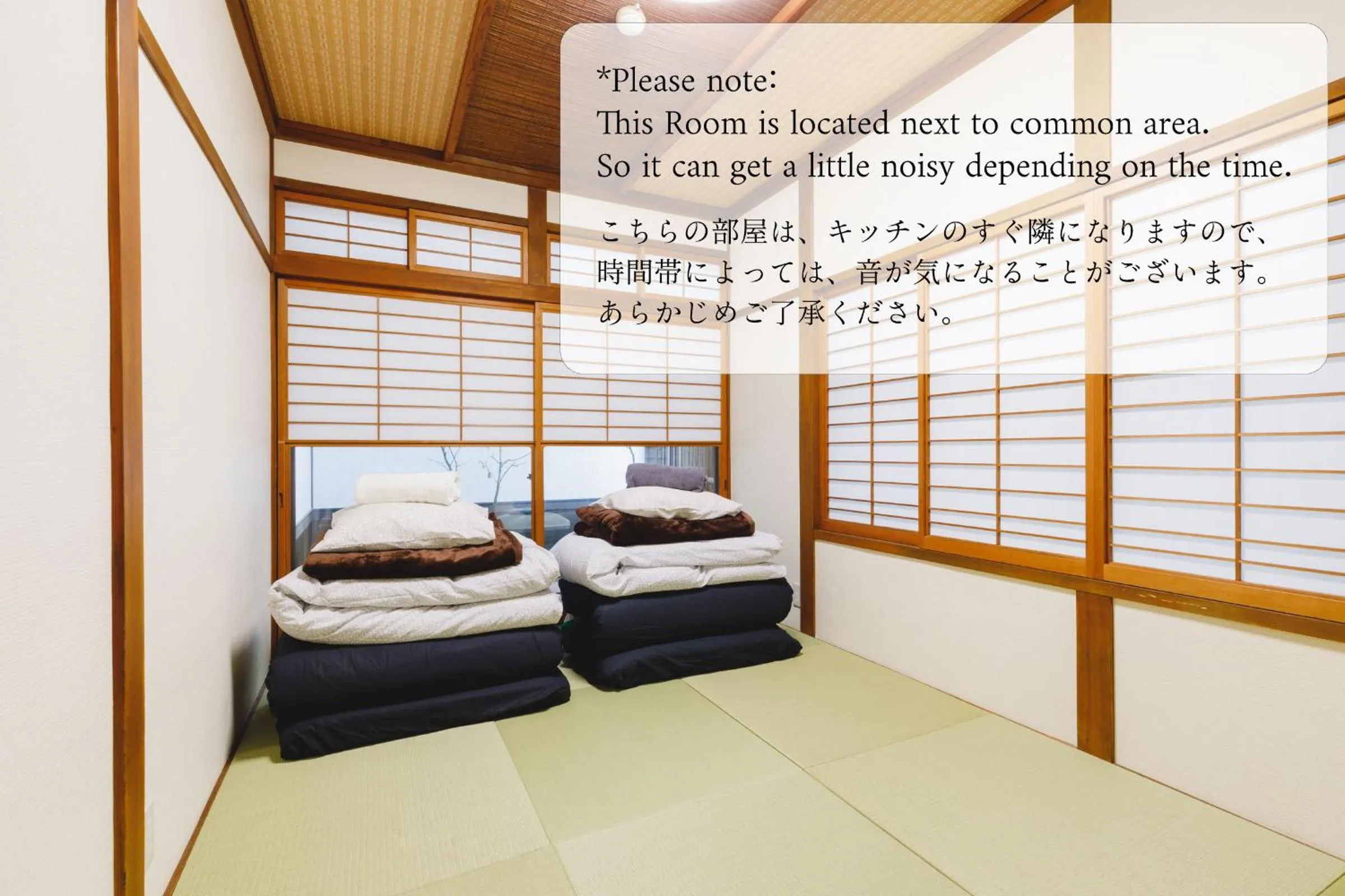 Photo of the whole room, Bed in Couch Potato Hostel