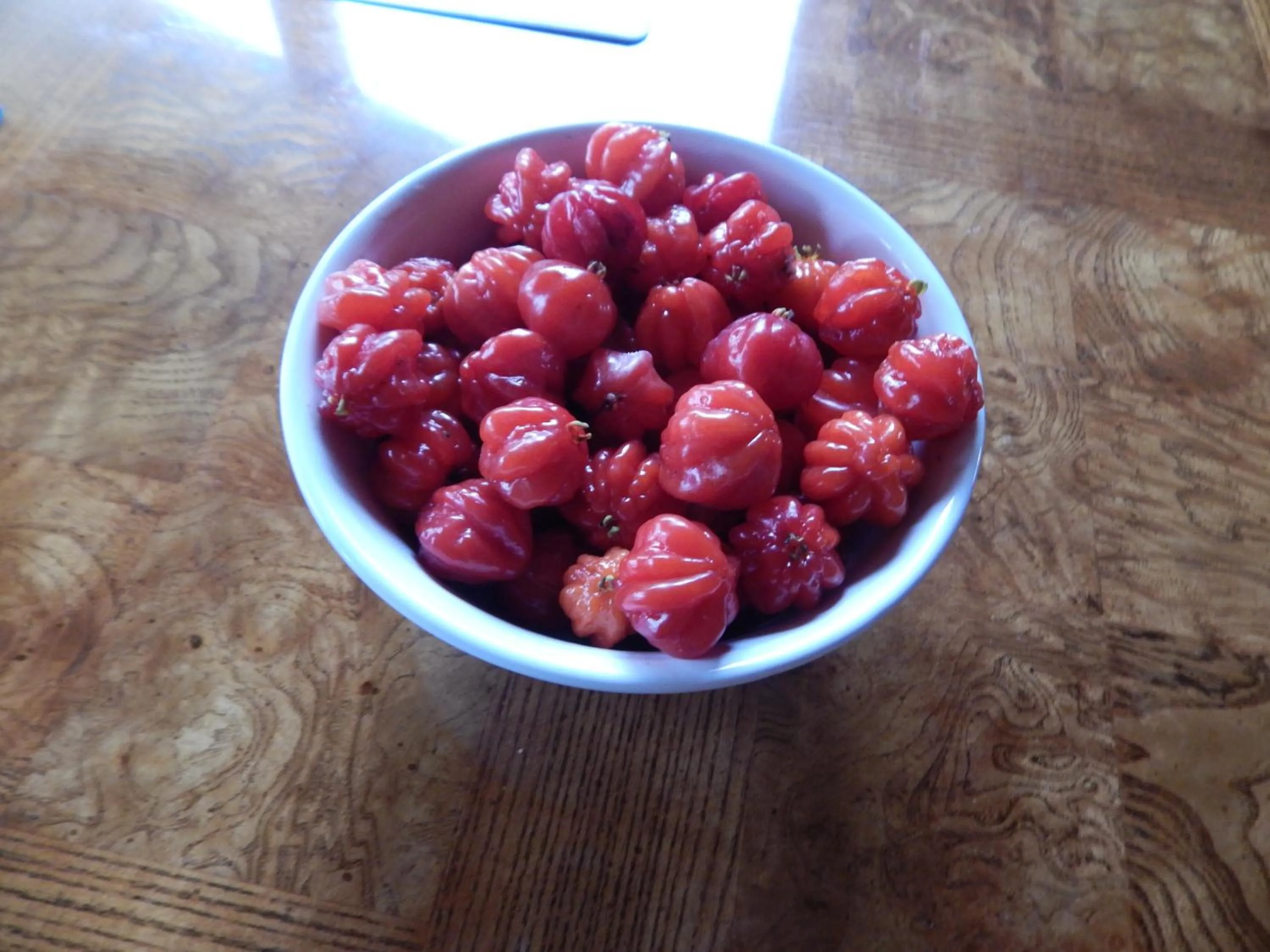 Decorative detail in Fern Forest Getaway