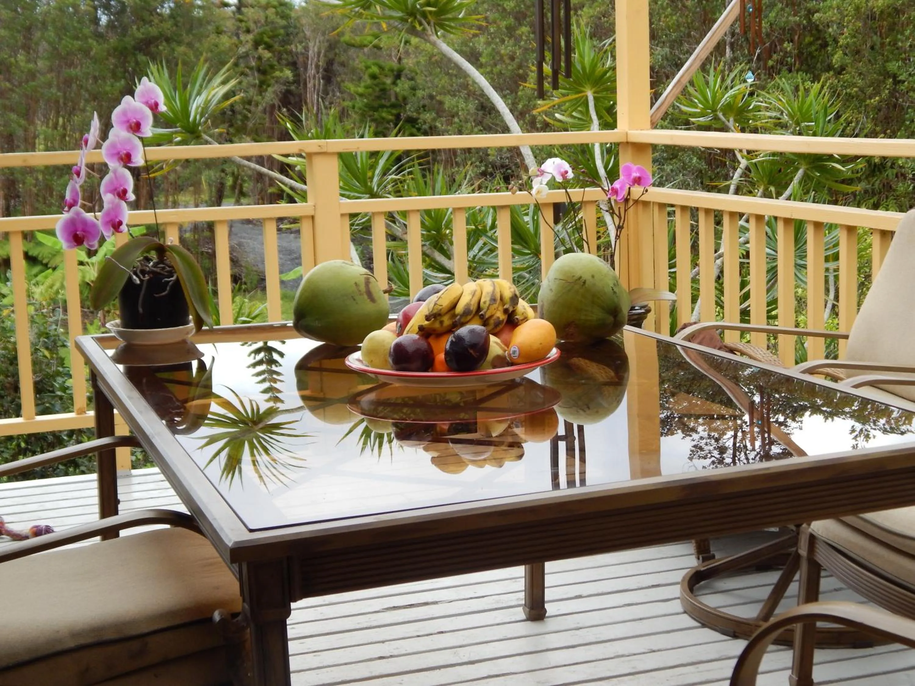 Patio in Fern Forest Getaway