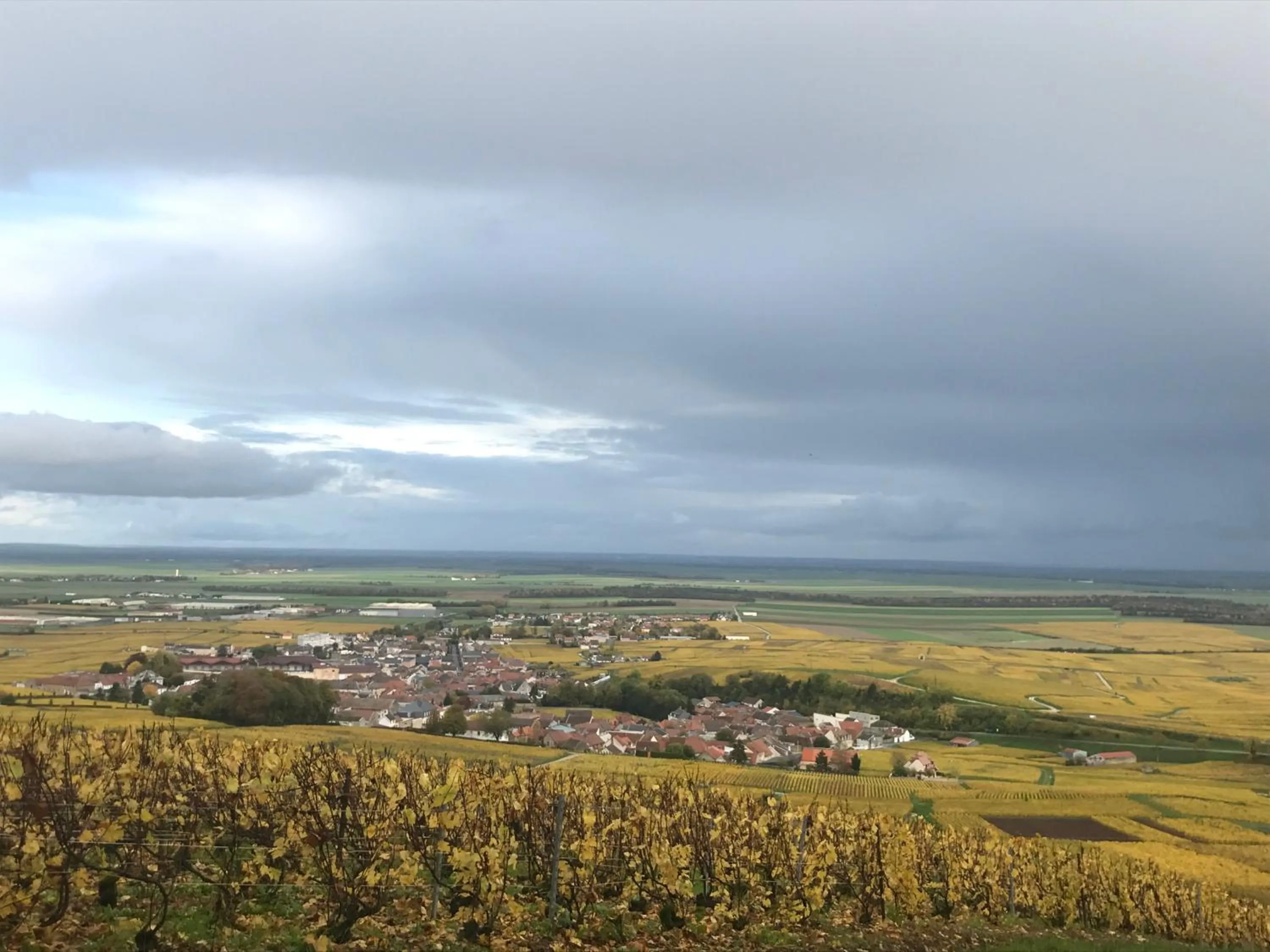 Natural landscape in Les Cépages