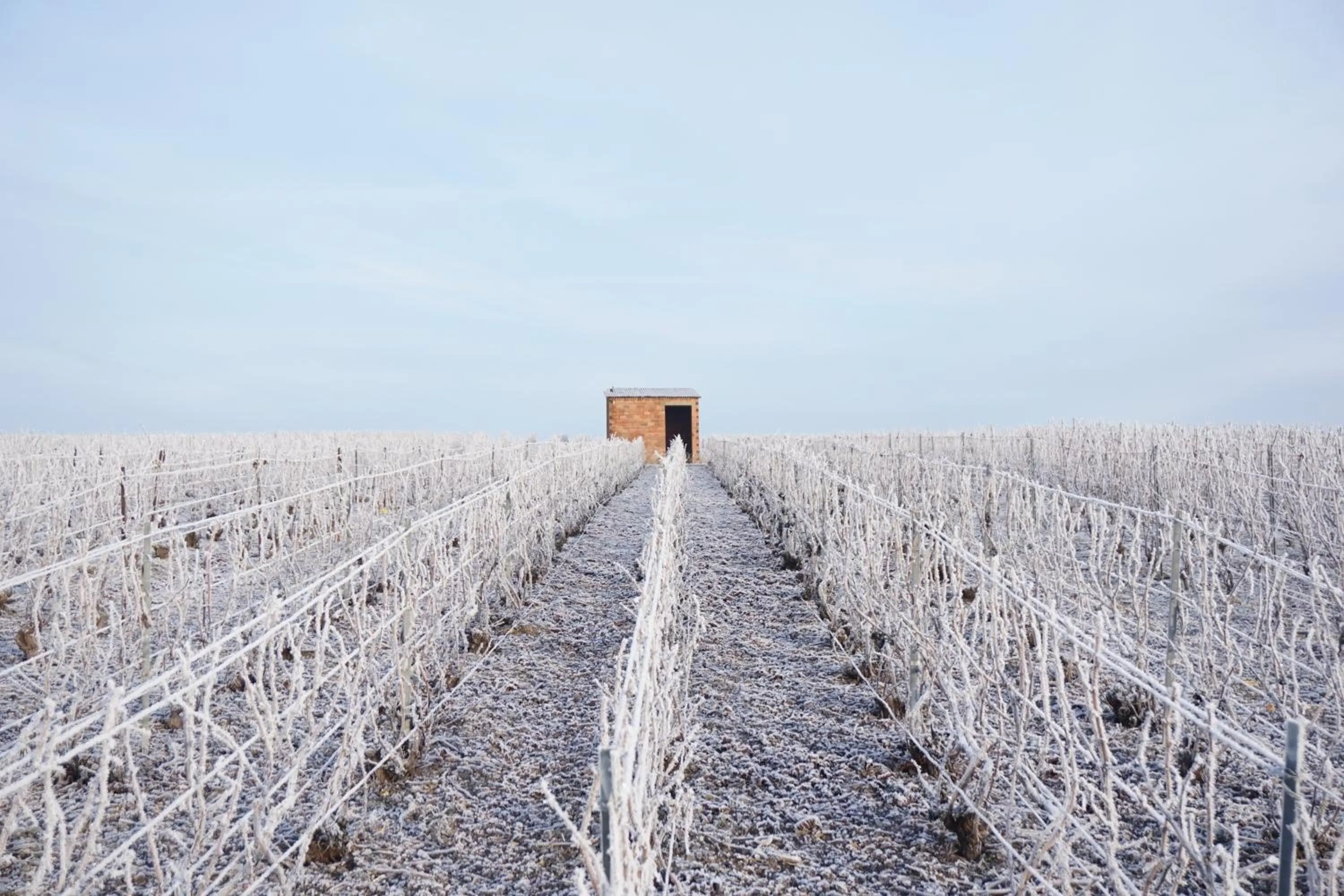 Nearby landmark in Les Cépages