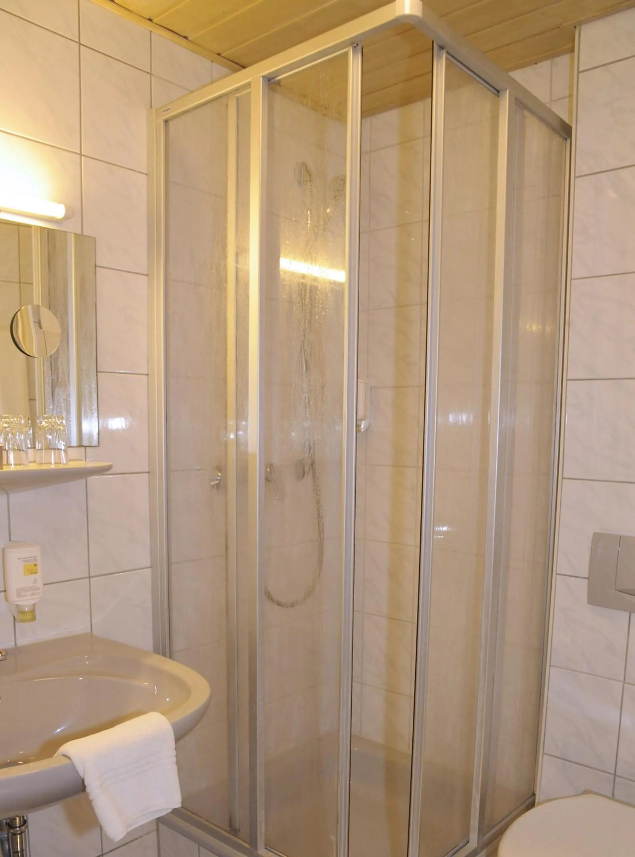 Shower in Hotel Goldener Karpfen